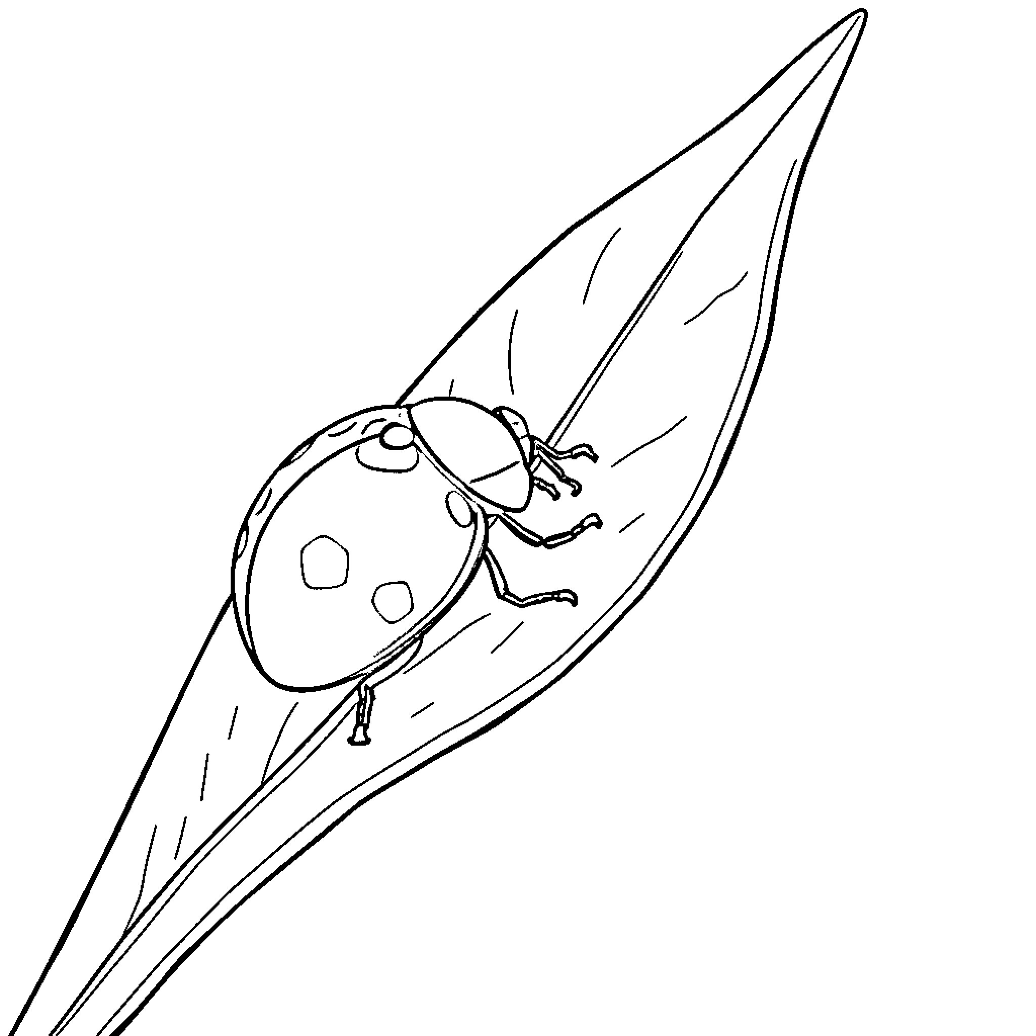 Ladybug climbing up a leaf Coloring Page (free black-and-white line drawing printable PDF for all, from beginners to advanced learners, including children, teens, adults, and seniors)