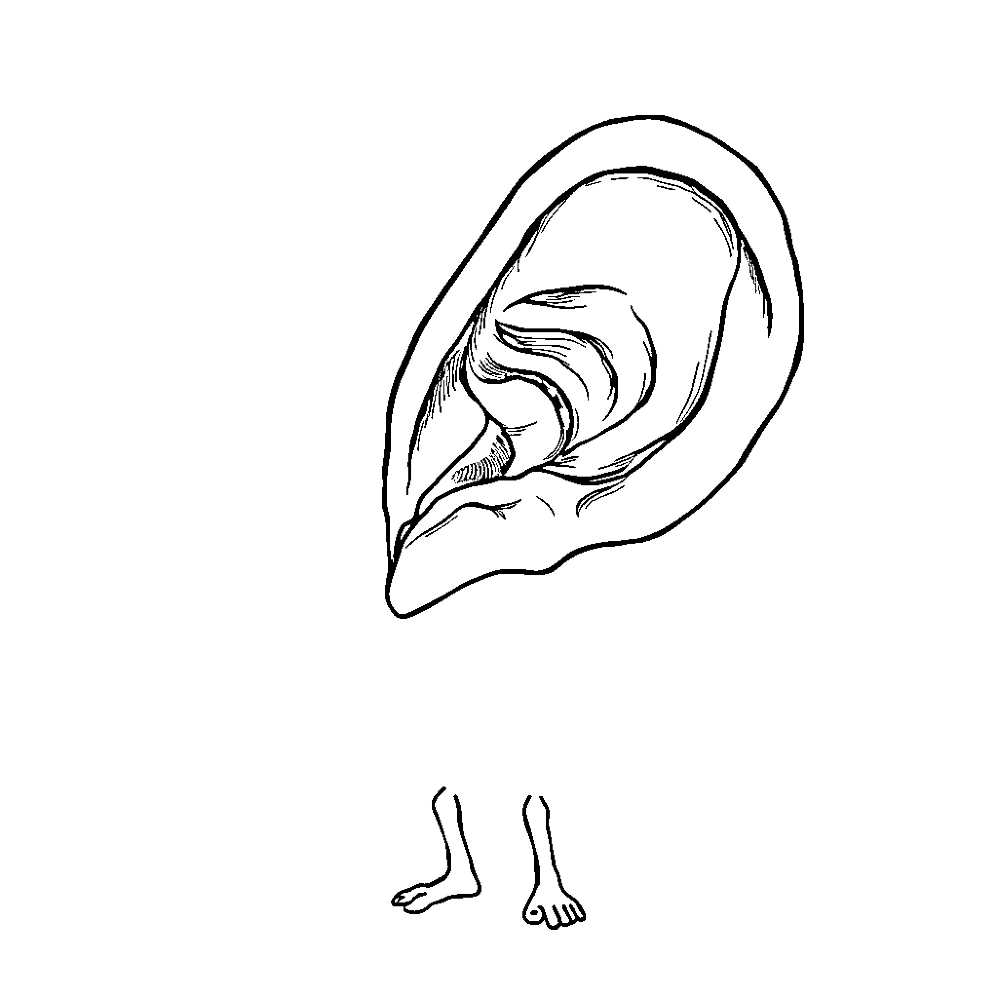 Ear-shaped outline with abstract details Coloring Page (free black-and-white line drawing printable PDF for all, from beginners to advanced learners, including children, teens, adults, and seniors)
