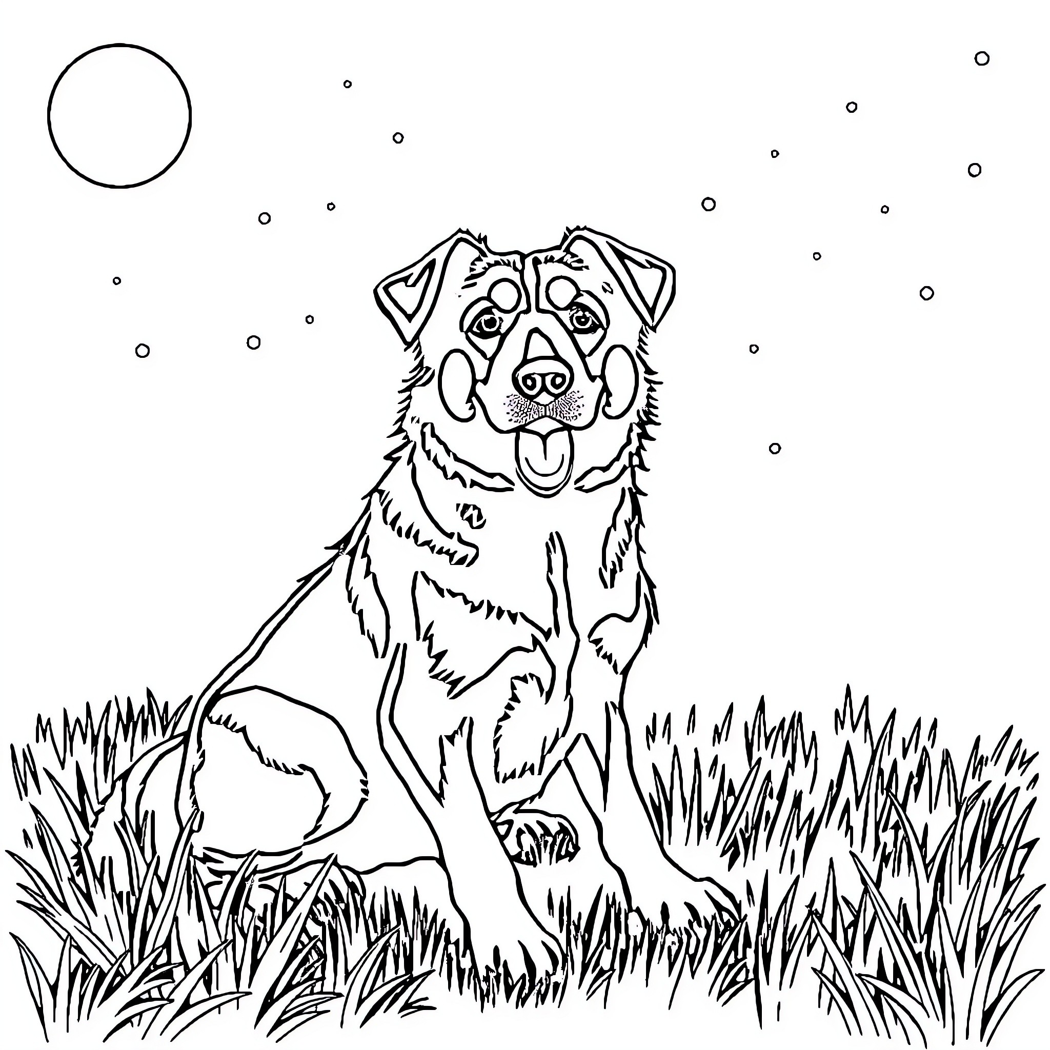 Dog sitting happily in a grassy field Coloring Page (free black-and-white line drawing printable PDF for all, from beginners to advanced learners, including children, teens, adults, and seniors)
