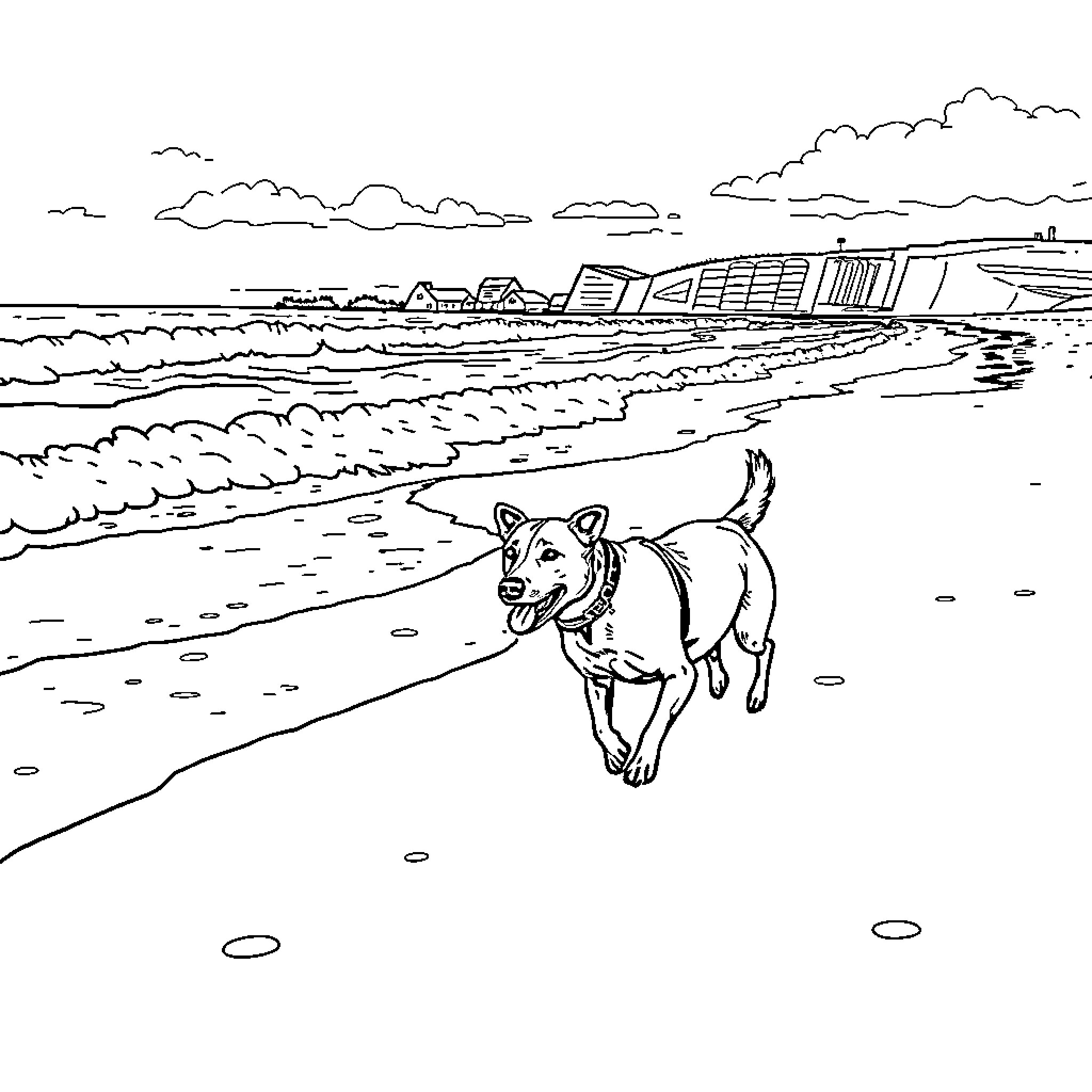 Dog playing happily on the beach Coloring Page (free black-and-white line drawing printable PDF for all, from beginners to advanced learners, including children, teens, adults, and seniors)
