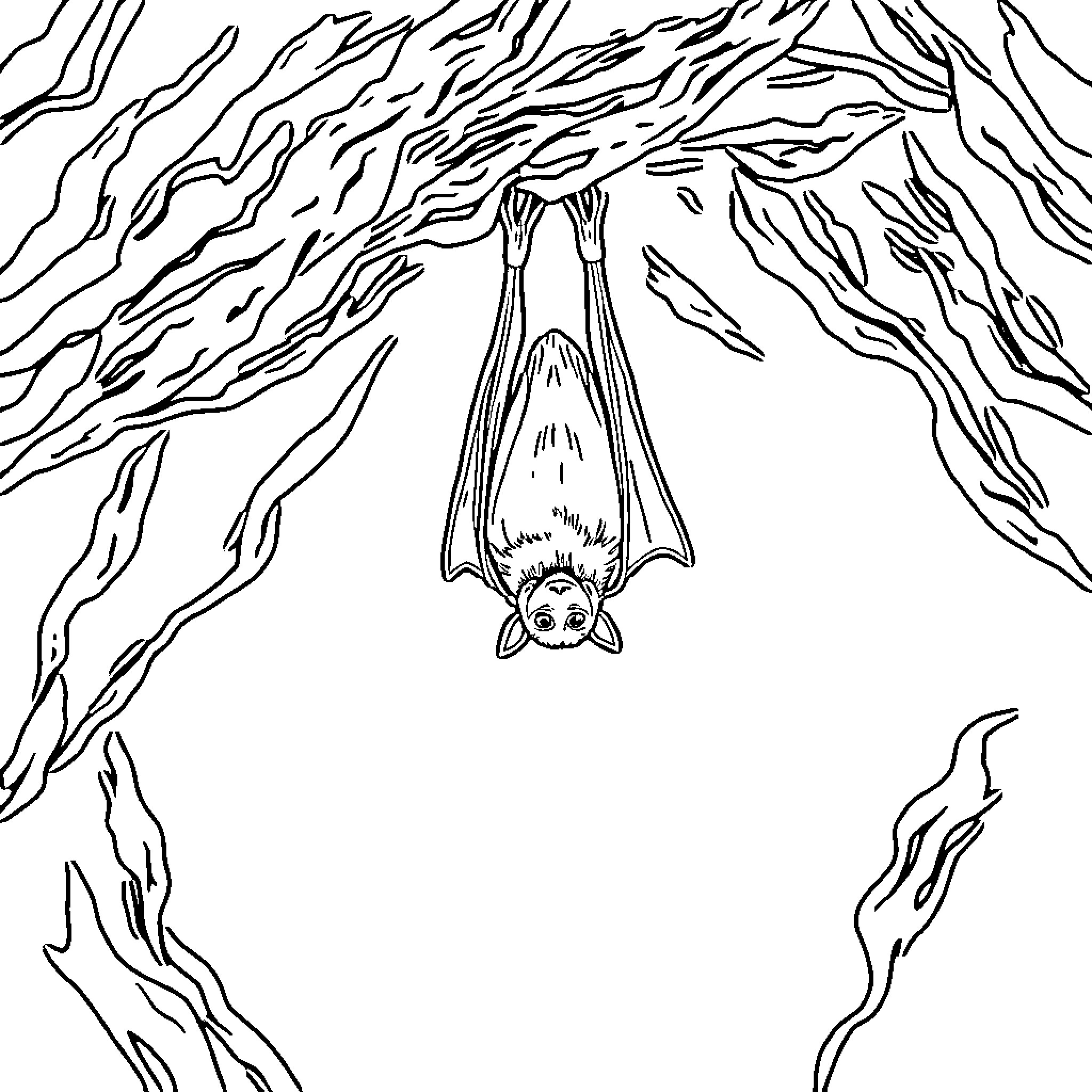 Bat hanging upside down in a dark cave Coloring Page (free black-and-white line drawing printable PDF for all, from beginners to advanced learners, including children, teens, adults, and seniors)