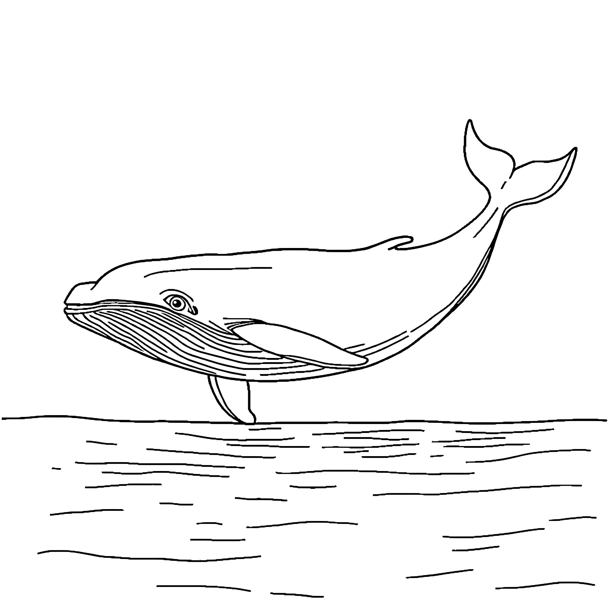 Whale surfacing from the water Coloring Page (free black-and-white line drawing printable PDF for all, from beginners to advanced learners, including children, teens, adults, and seniors)