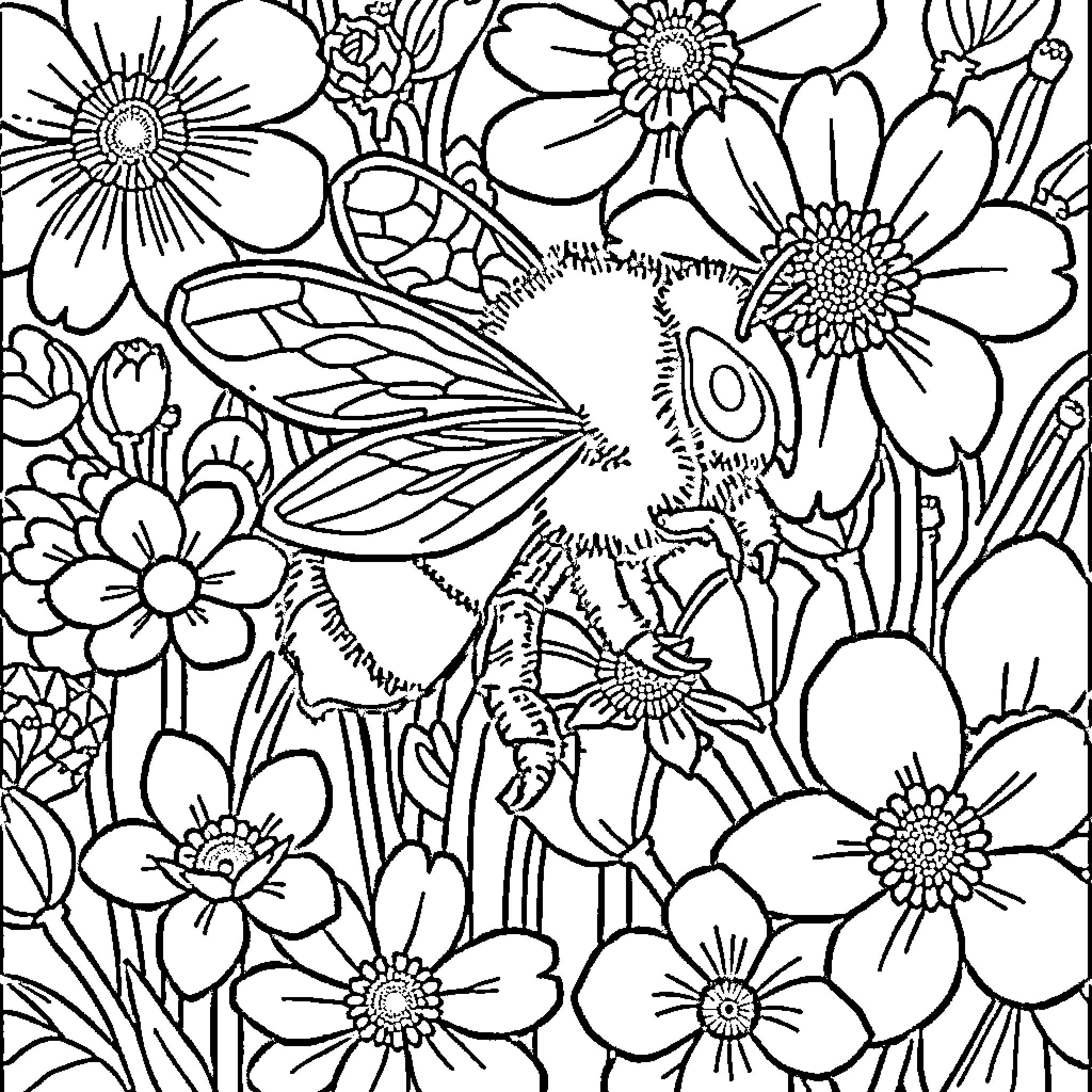 Bee floating among vibrant flowers Coloring Page (free black-and-white line drawing printable PDF for all, from beginners to advanced learners, including children, teens, adults, and seniors)