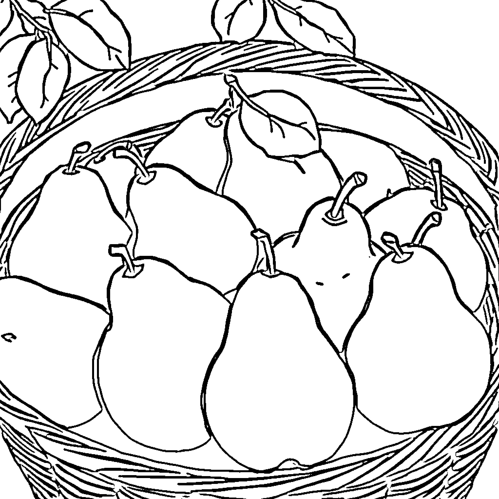 Pear Basket Filled with Delicious Pears Coloring Page (free black-and-white line drawing printable PDF for all, from beginners to advanced learners, including children, teens, adults, and seniors)