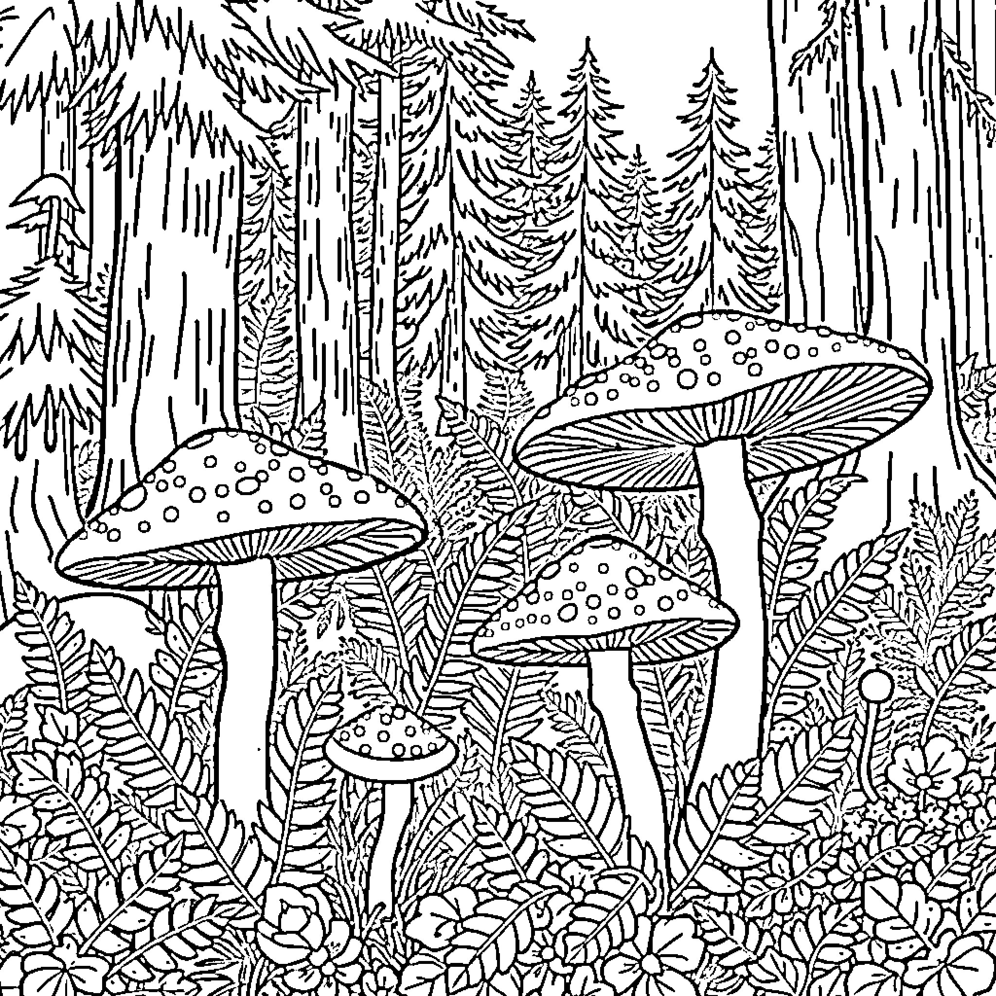 Mushroom Wonderland in the Enchanted Forest Coloring Page (free black-and-white line drawing printable PDF for all, from beginners to advanced learners, including children, teens, adults, and seniors)