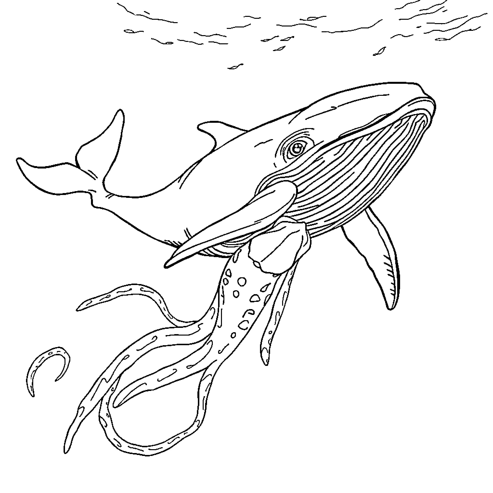 Sperm Whale Swimming Gracefully in the Ocean Coloring Page (free black-and-white line drawing printable PDF for all, from beginners to advanced learners, including children, teens, adults, and seniors)