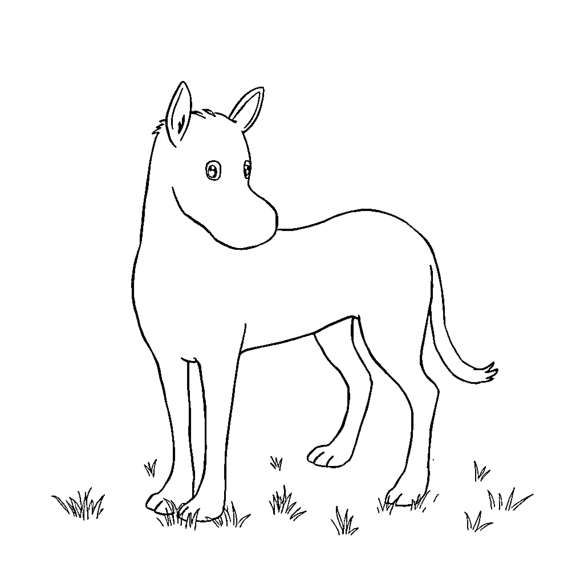 ABA Cute horse standing in a grassy field Coloring Page (free black-and-white line drawing printable PDF for all, from beginners to advanced learners, including children, teens, adults, and seniors)