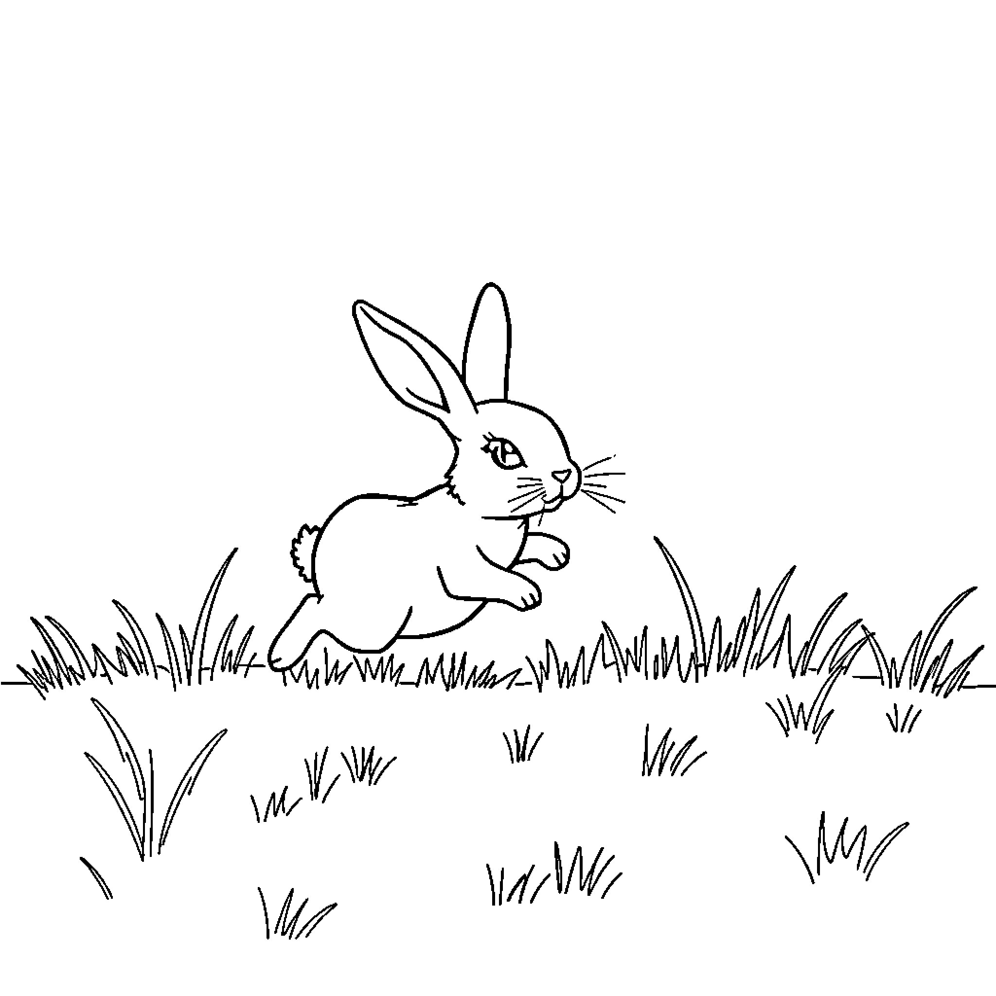 Rabbit hopping through the grass Coloring Page (free black-and-white line drawing printable PDF for all, from beginners to advanced learners, including children, teens, adults, and seniors)