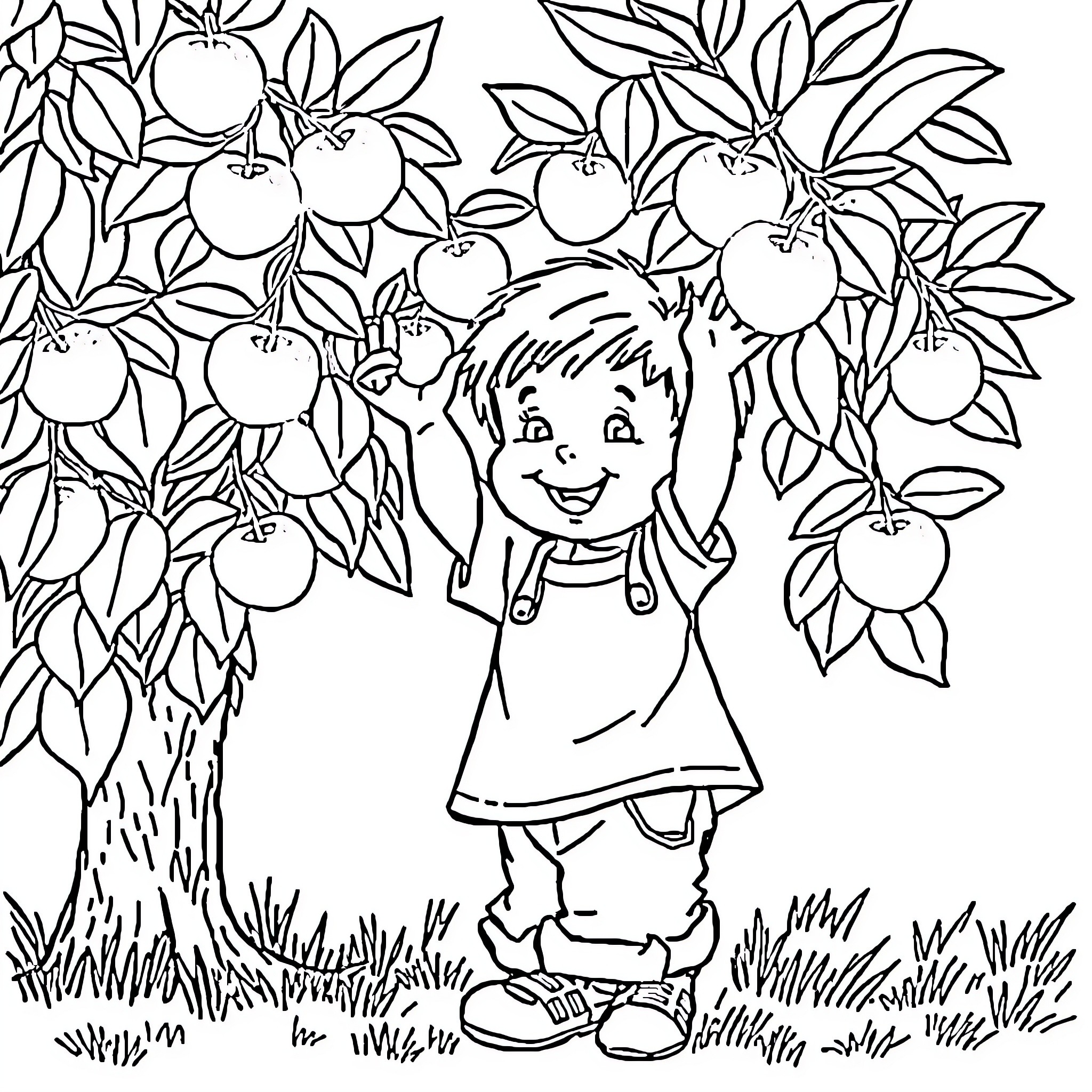Child picking apples from the tree Coloring Page (free black-and-white line drawing printable PDF for all, from beginners to advanced learners, including children, teens, adults, and seniors)