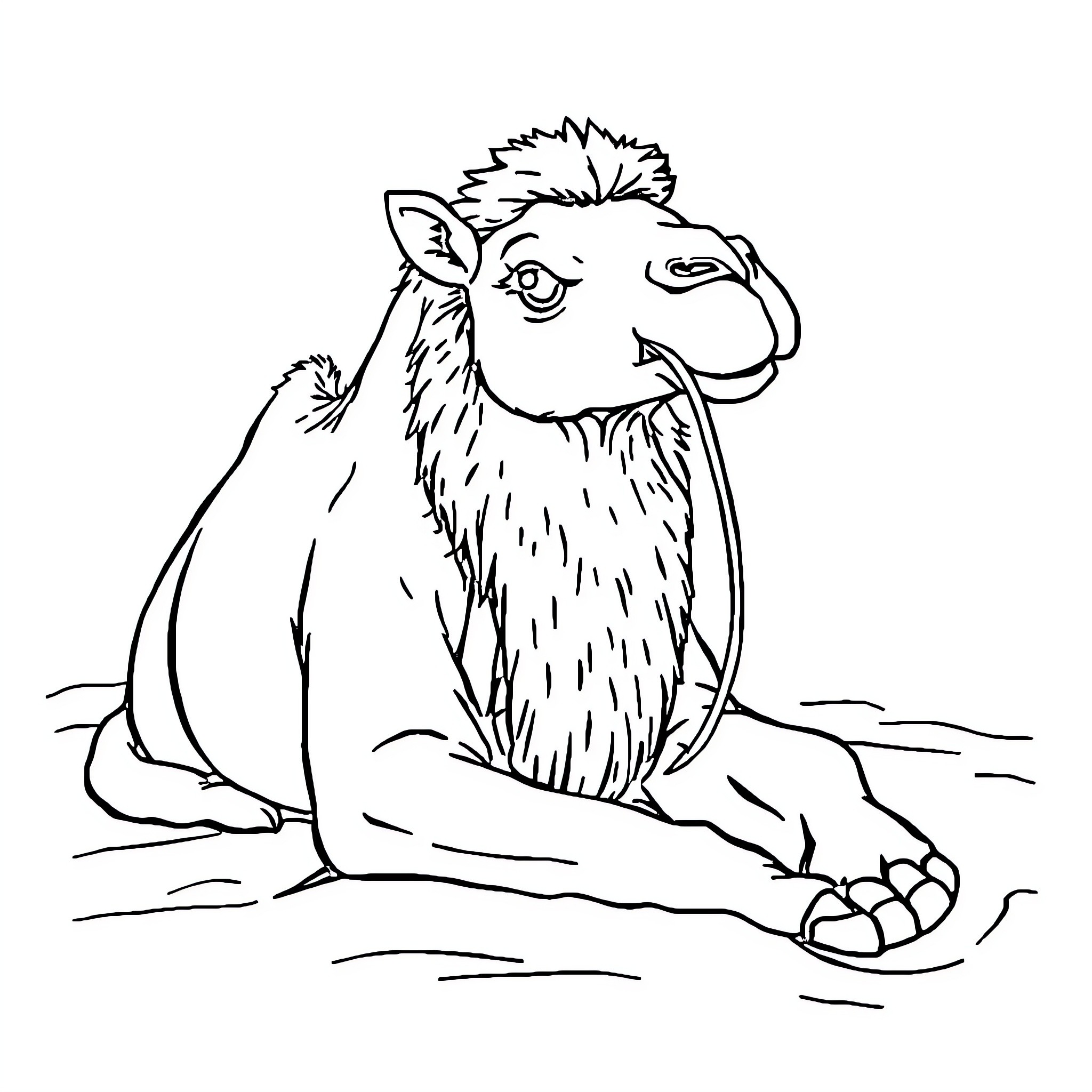 Camel resting in the desert Coloring Page (free black-and-white line drawing printable PDF for all, from beginners to advanced learners, including children, teens, adults, and seniors)