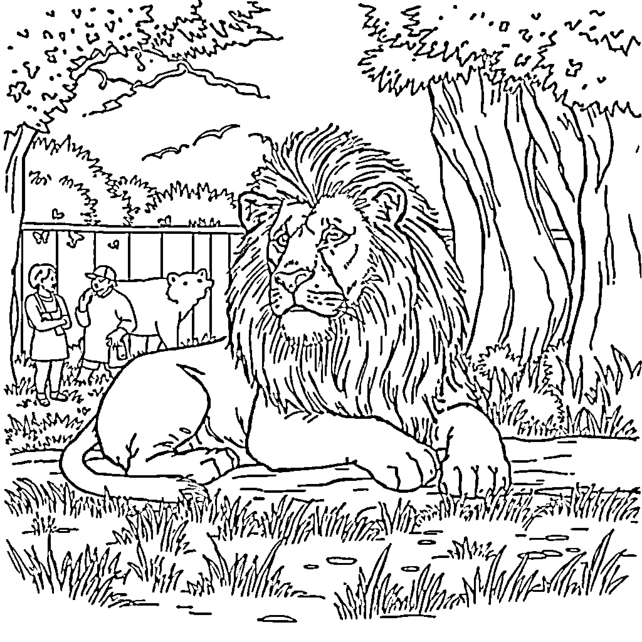 Lion resting calmly in natural habitat Coloring Page (free black-and-white line drawing printable PDF for all, from beginners to advanced learners, including children, teens, adults, and seniors)