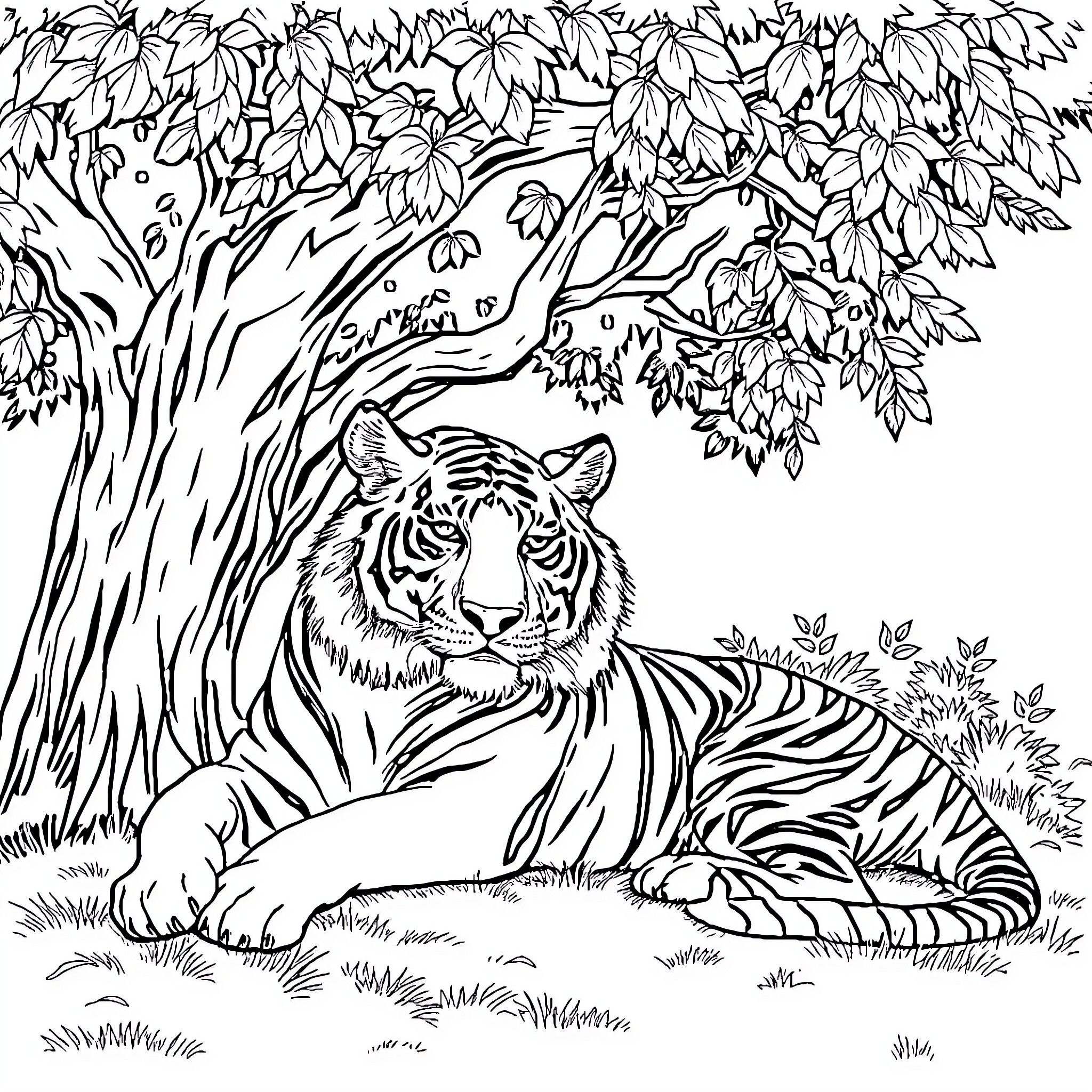 Tiger relaxing under a lush forest canopy Coloring Page (free black-and-white line drawing printable PDF for all, from beginners to advanced learners, including children, teens, adults, and seniors)