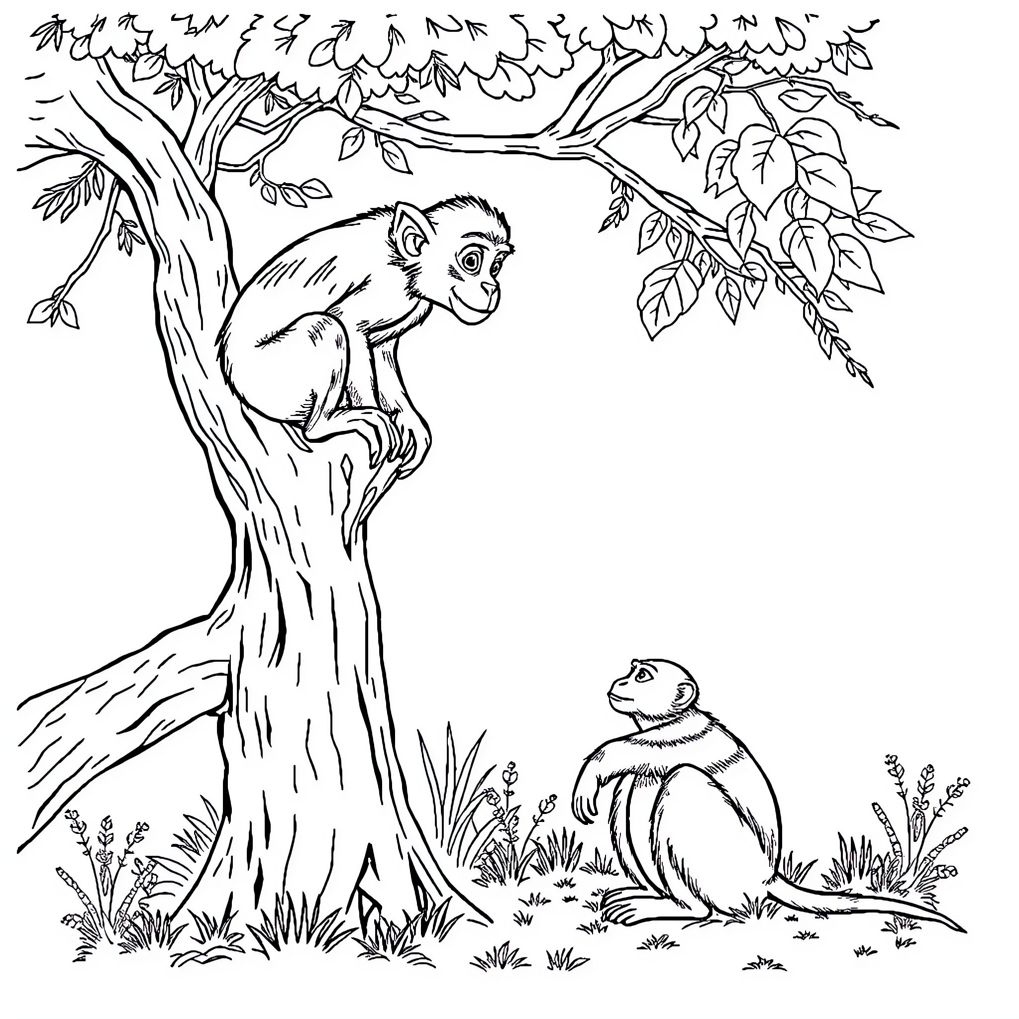 Monkey relaxing in a tree with a companion below Coloring Page (free black-and-white line drawing printable PDF for all, from beginners to advanced learners, including children, teens, adults, and seniors)