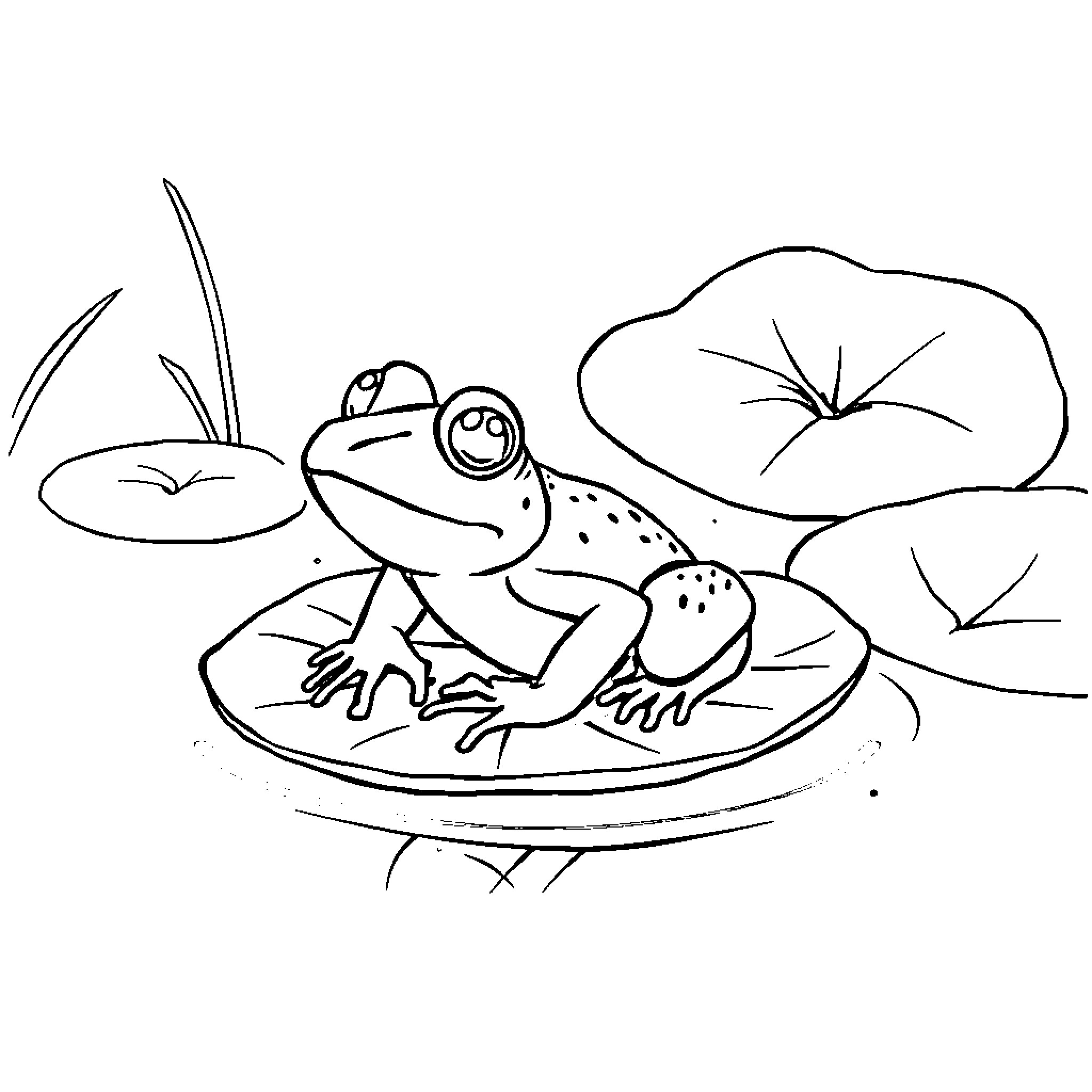 Frog relaxing on lily pad Coloring Page (free black-and-white line drawing printable PDF for all, from beginners to advanced learners, including children, teens, adults, and seniors)