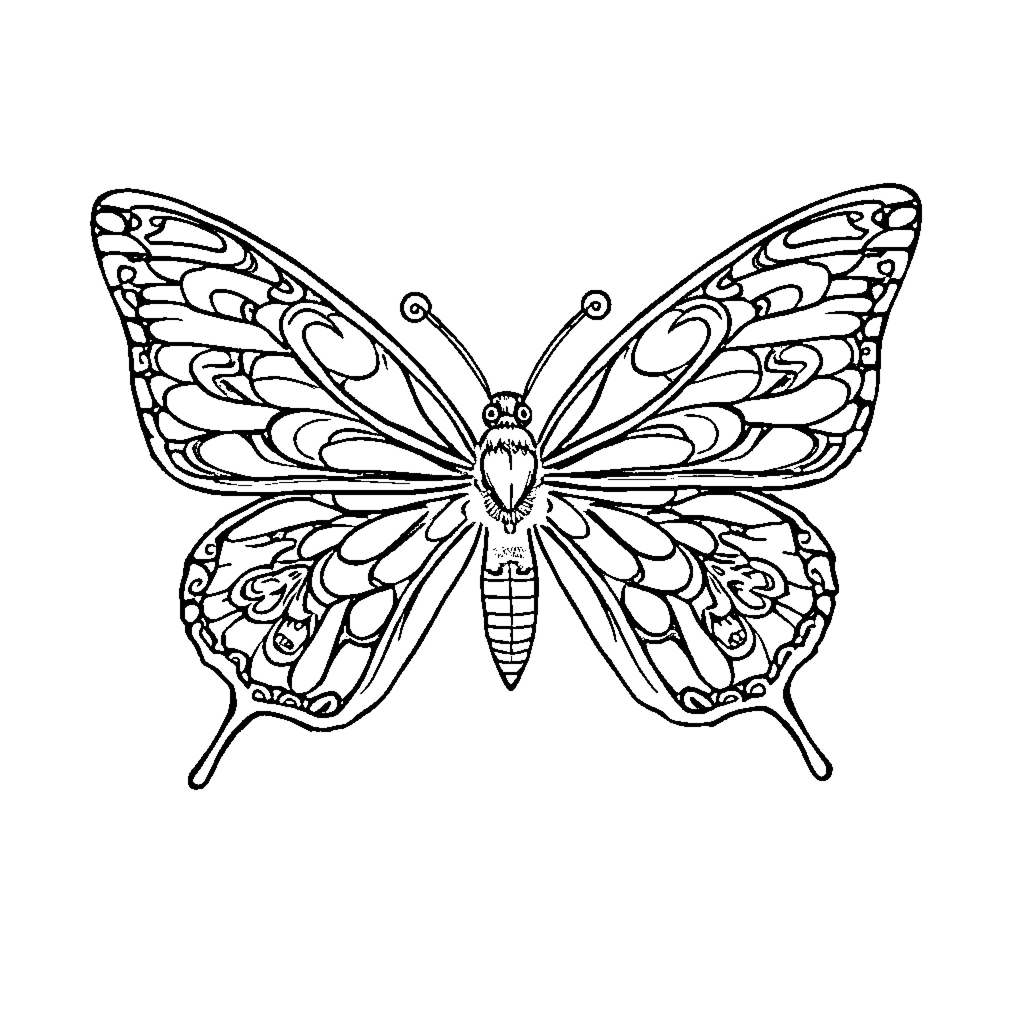 Butterfly with intricate wing patterns Coloring Page (free black-and-white line drawing printable PDF for all, from beginners to advanced learners, including children, teens, adults, and seniors)