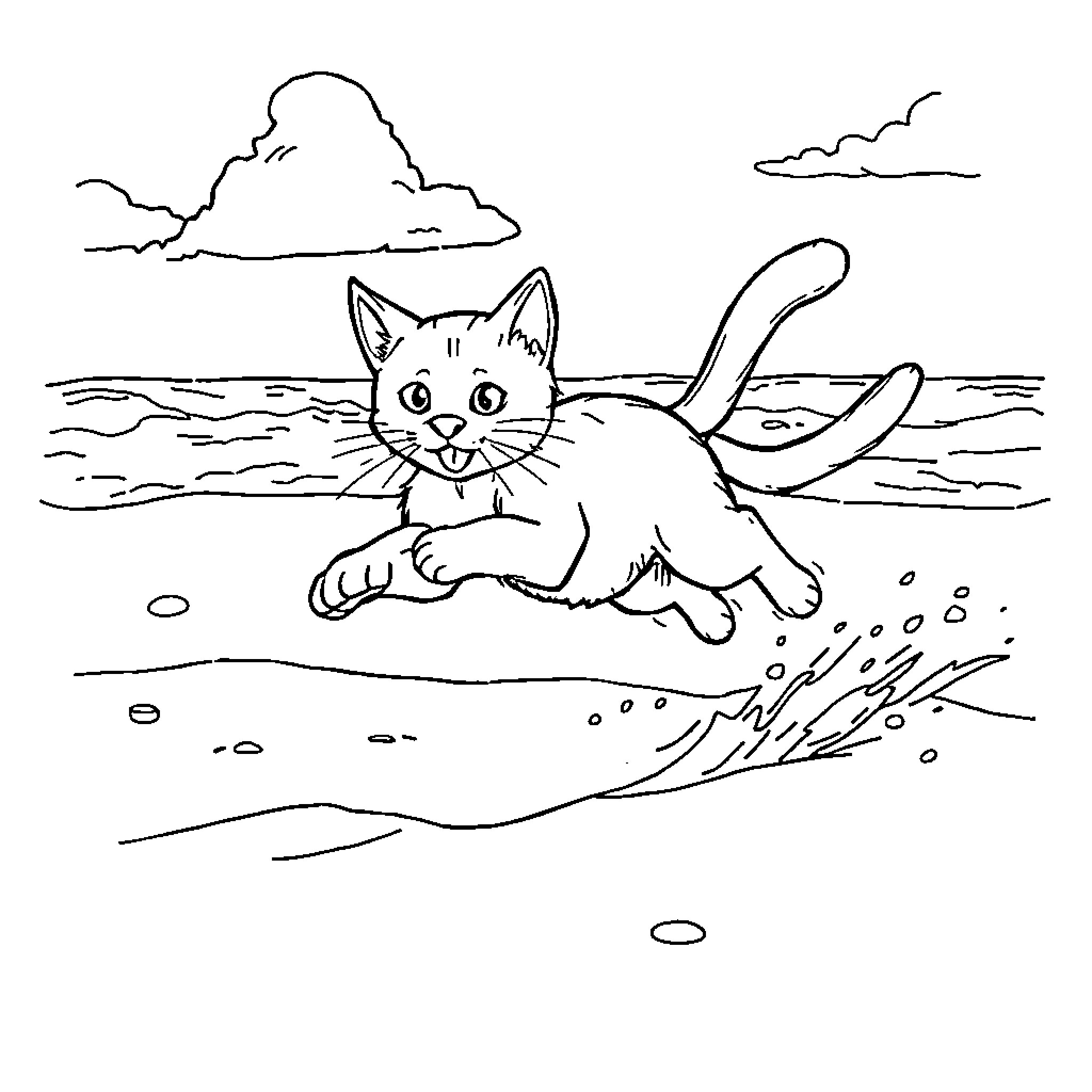 Cat playing in the water near the beach Coloring Page (free black-and-white line drawing printable PDF for all, from beginners to advanced learners, including children, teens, adults, and seniors)