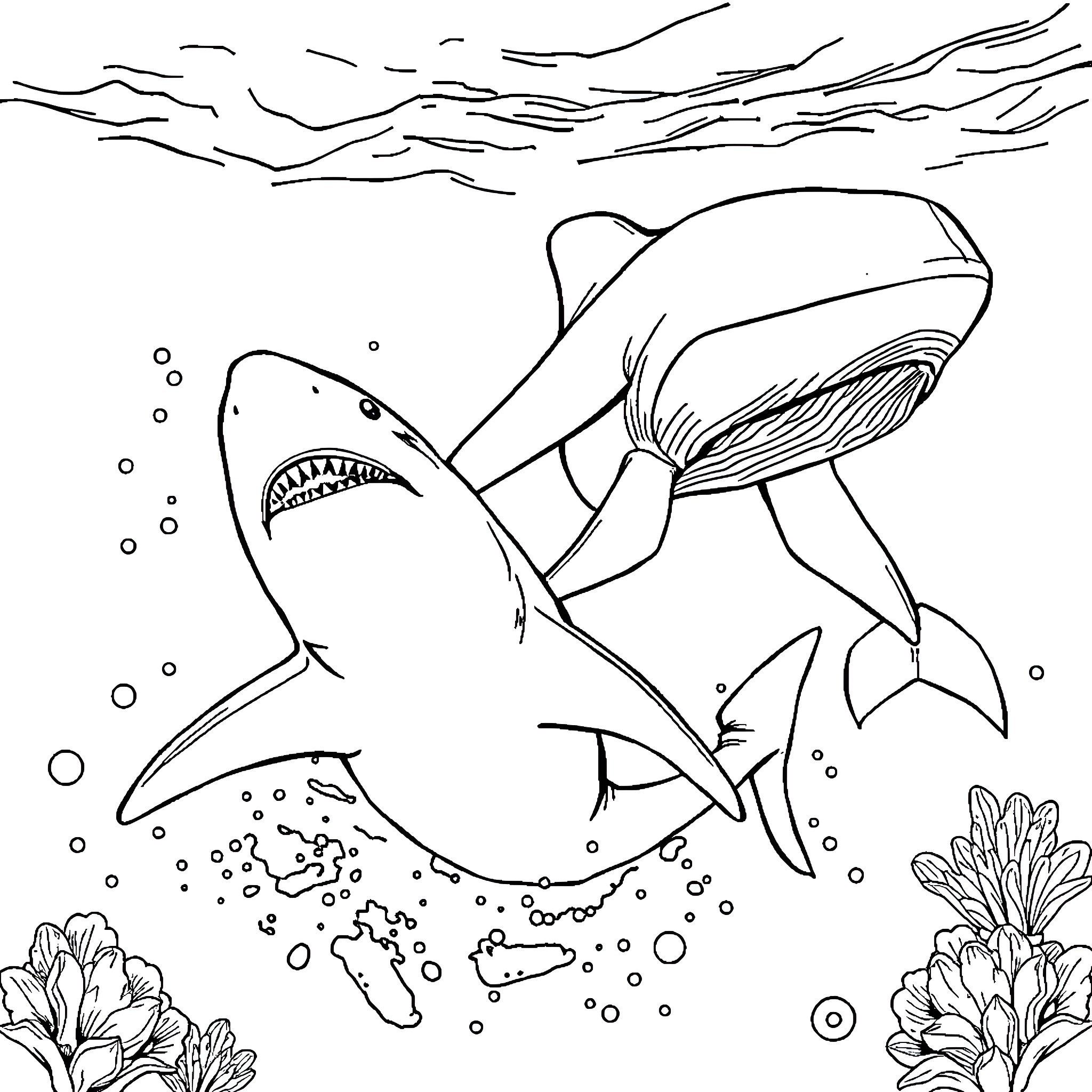 Shark swimming amid ocean waves and underwater plants Coloring Page (free black-and-white line drawing printable PDF for all, from beginners to advanced learners, including children, teens, adults, and seniors)