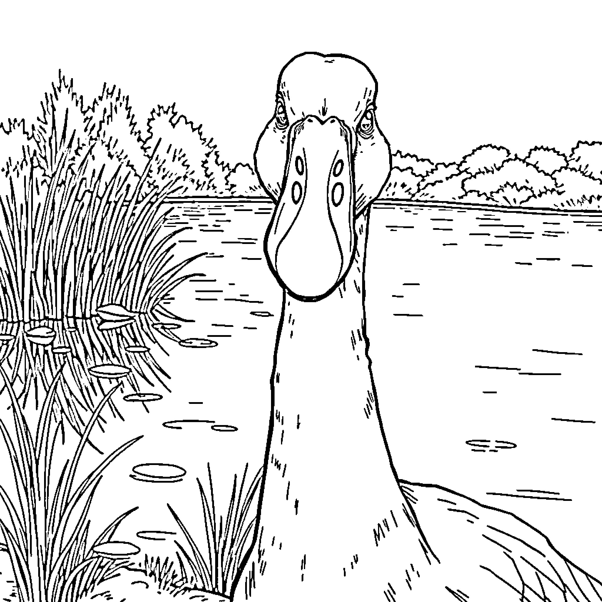 Goose swimming in the lake surrounded by reeds Coloring Page (free black-and-white line drawing printable PDF for all, from beginners to advanced learners, including children, teens, adults, and seniors)