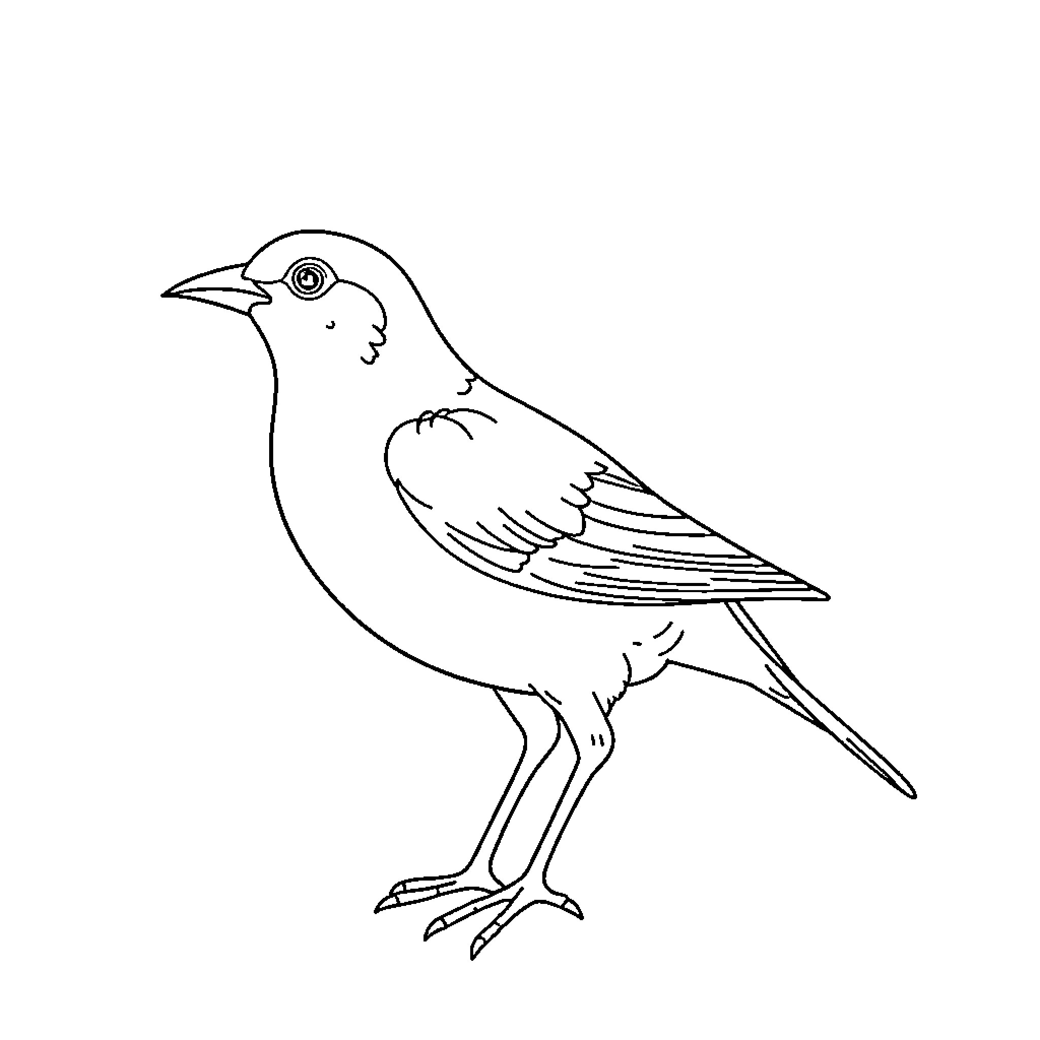 Bird perched and resting Coloring Page (free black-and-white line drawing printable PDF for all, from beginners to advanced learners, including children, teens, adults, and seniors)