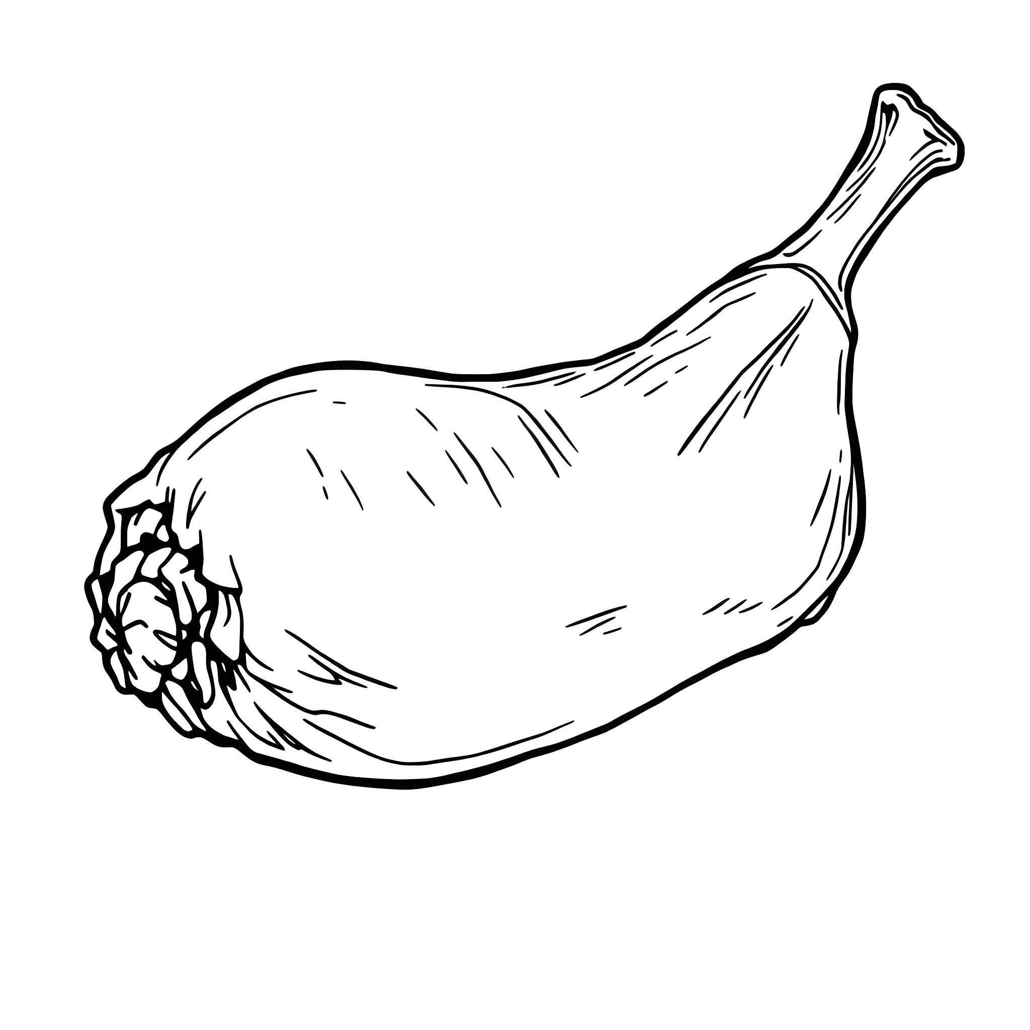 Drumstick with intricate details Coloring Page (free black-and-white line drawing printable PDF for all, from beginners to advanced learners, including children, teens, adults, and seniors)