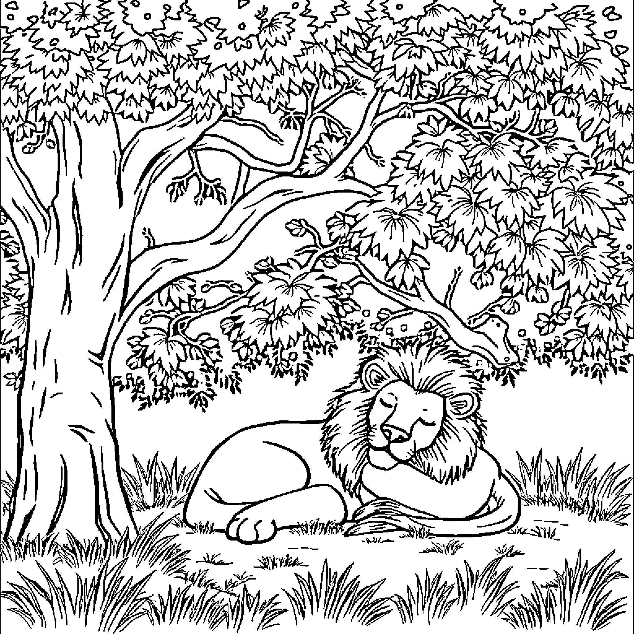 Lion resting peacefully in lush forest landscape Coloring Page (free black-and-white line drawing printable PDF for all, from beginners to advanced learners, including children, teens, adults, and seniors)