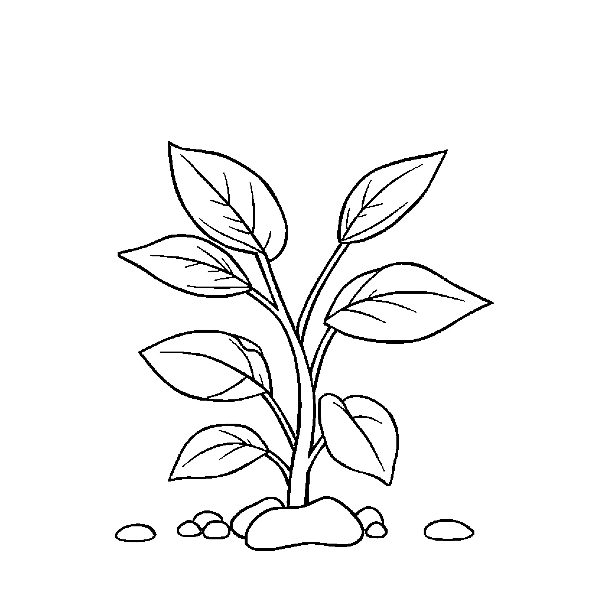 Plant growing with leaves Coloring Page (free black-and-white line drawing printable PDF for all, from beginners to advanced learners, including children, teens, adults, and seniors)