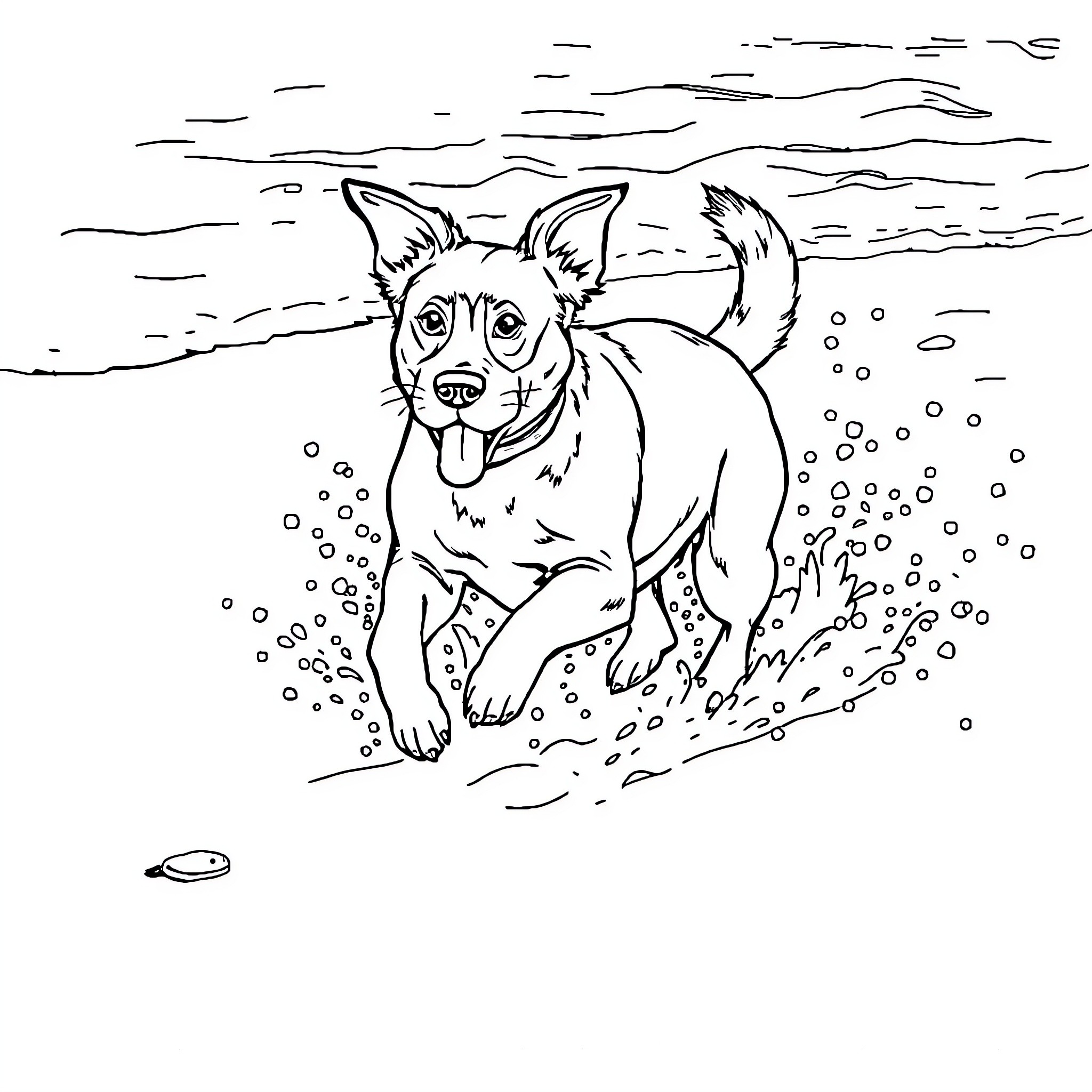 Dog splashing in puddles on the beach Coloring Page (free black-and-white line drawing printable PDF for all, from beginners to advanced learners, including children, teens, adults, and seniors)