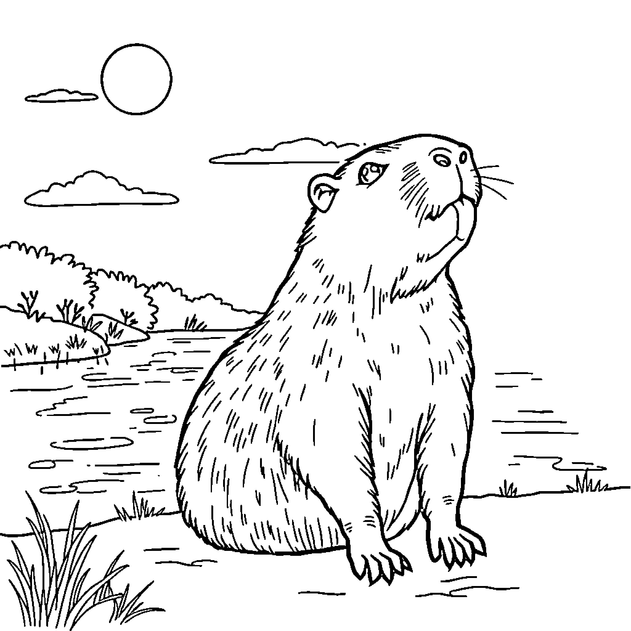 Capybara enjoying the serene landscape Coloring Page (free black-and-white line drawing printable PDF for all, from beginners to advanced learners, including children, teens, adults, and seniors)