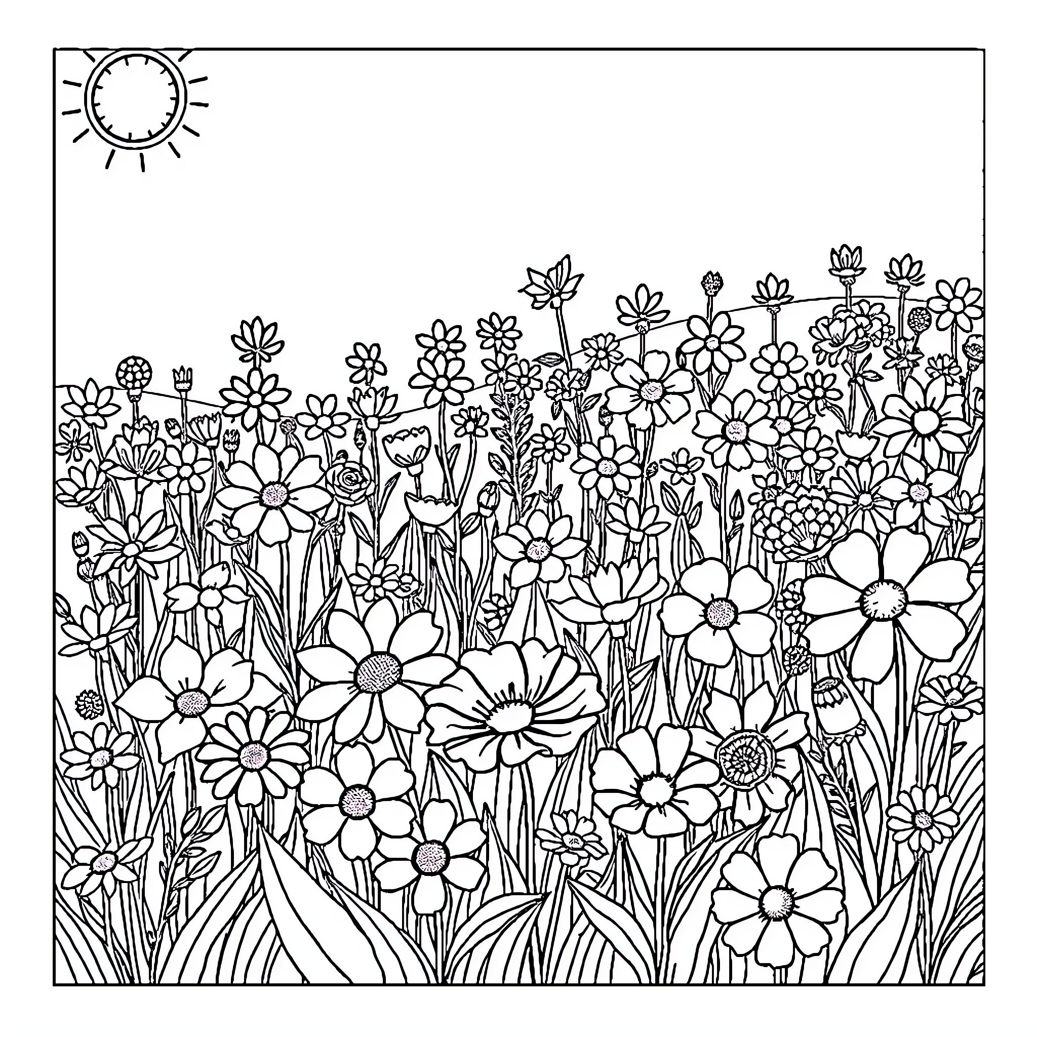 Flower garden in bloom under the sun Coloring Page (free black-and-white line drawing printable PDF for all, from beginners to advanced learners, including children, teens, adults, and seniors)