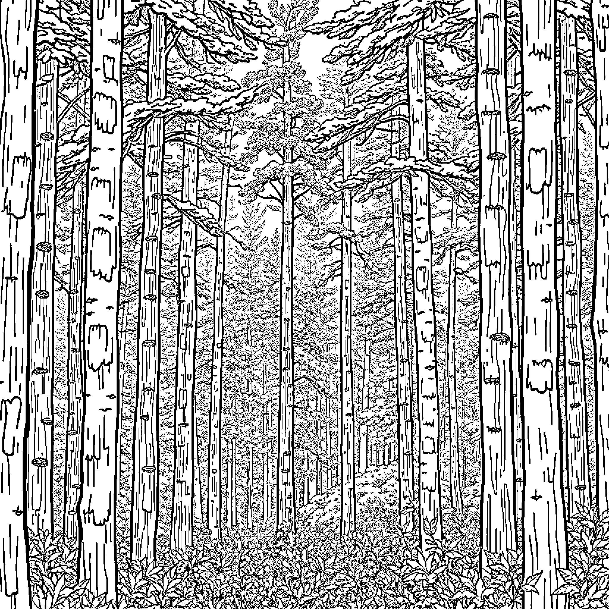 Forest Scene with Dense Foliage and Towering Trees Coloring Page (free black-and-white line drawing printable PDF for all, from beginners to advanced learners, including children, teens, adults, and seniors)