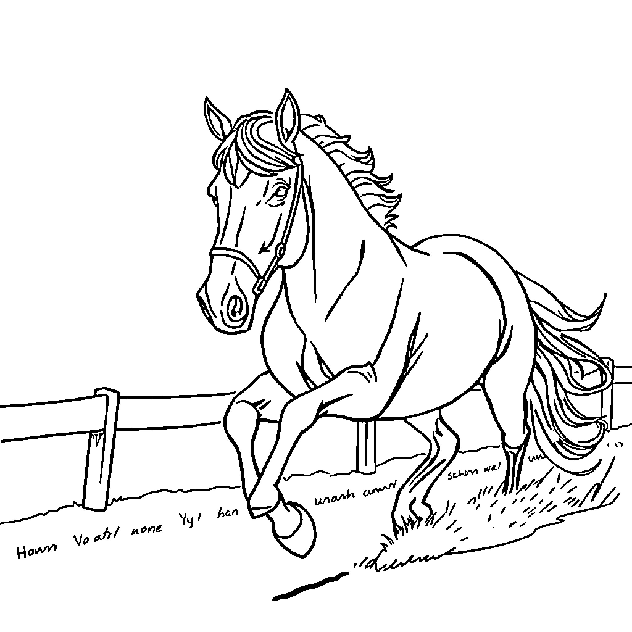 Racehorse leaping over fence with energy Coloring Page (free black-and-white line drawing printable PDF for all, from beginners to advanced learners, including children, teens, adults, and seniors)