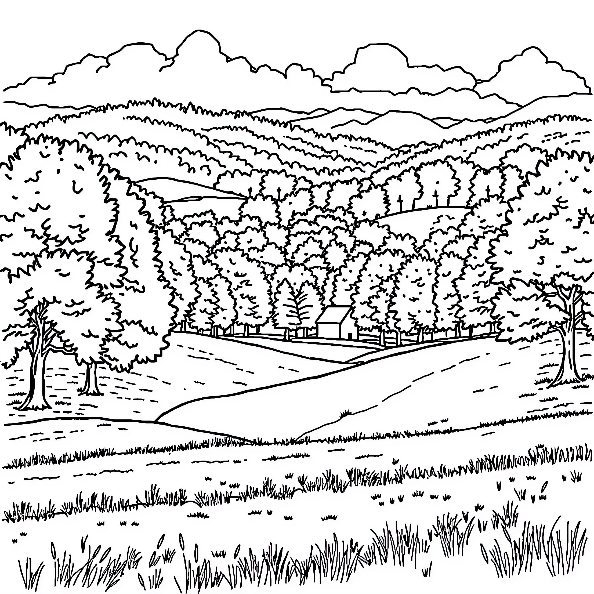 Butte de Biez: Idyllic Landscape with Winding Path Coloring Page (free black-and-white line drawing printable PDF for all, from beginners to advanced learners, including children, teens, adults, and seniors)