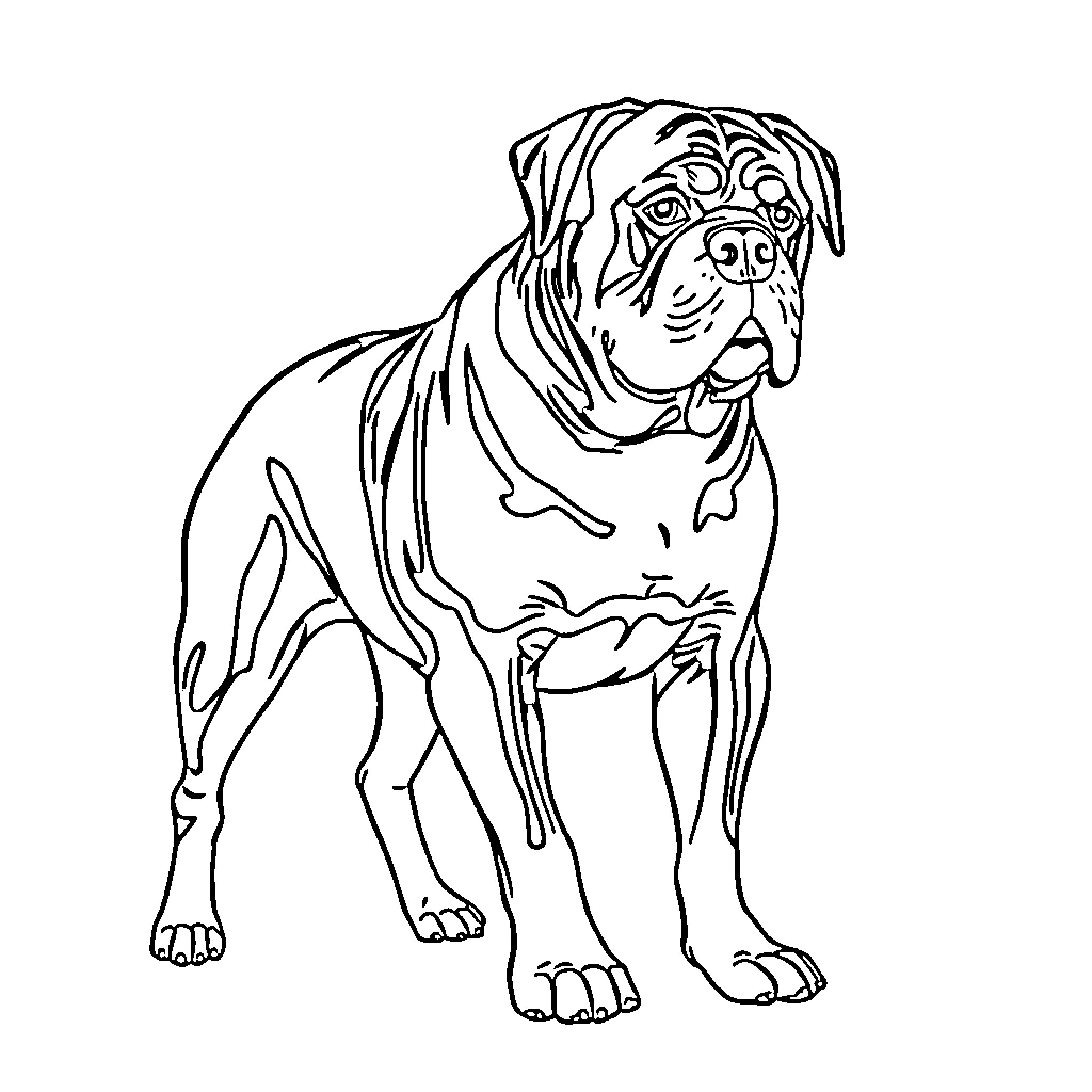 Rottweiler in playful stance Coloring Page (free black-and-white line drawing printable PDF for all, from beginners to advanced learners, including children, teens, adults, and seniors)