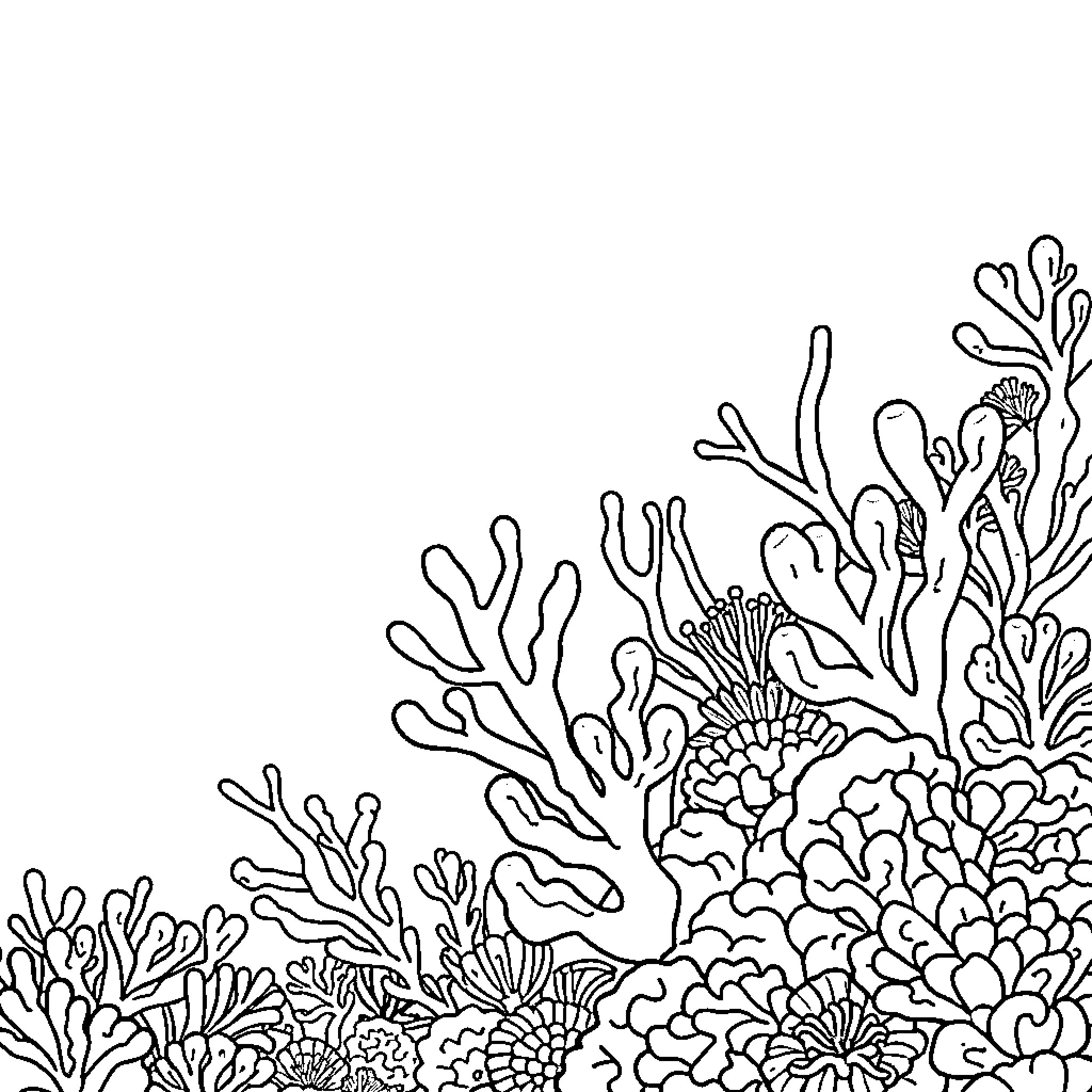 Coral reef with intricate marine flora Coloring Page (free black-and-white line drawing printable PDF for all, from beginners to advanced learners, including children, teens, adults, and seniors)