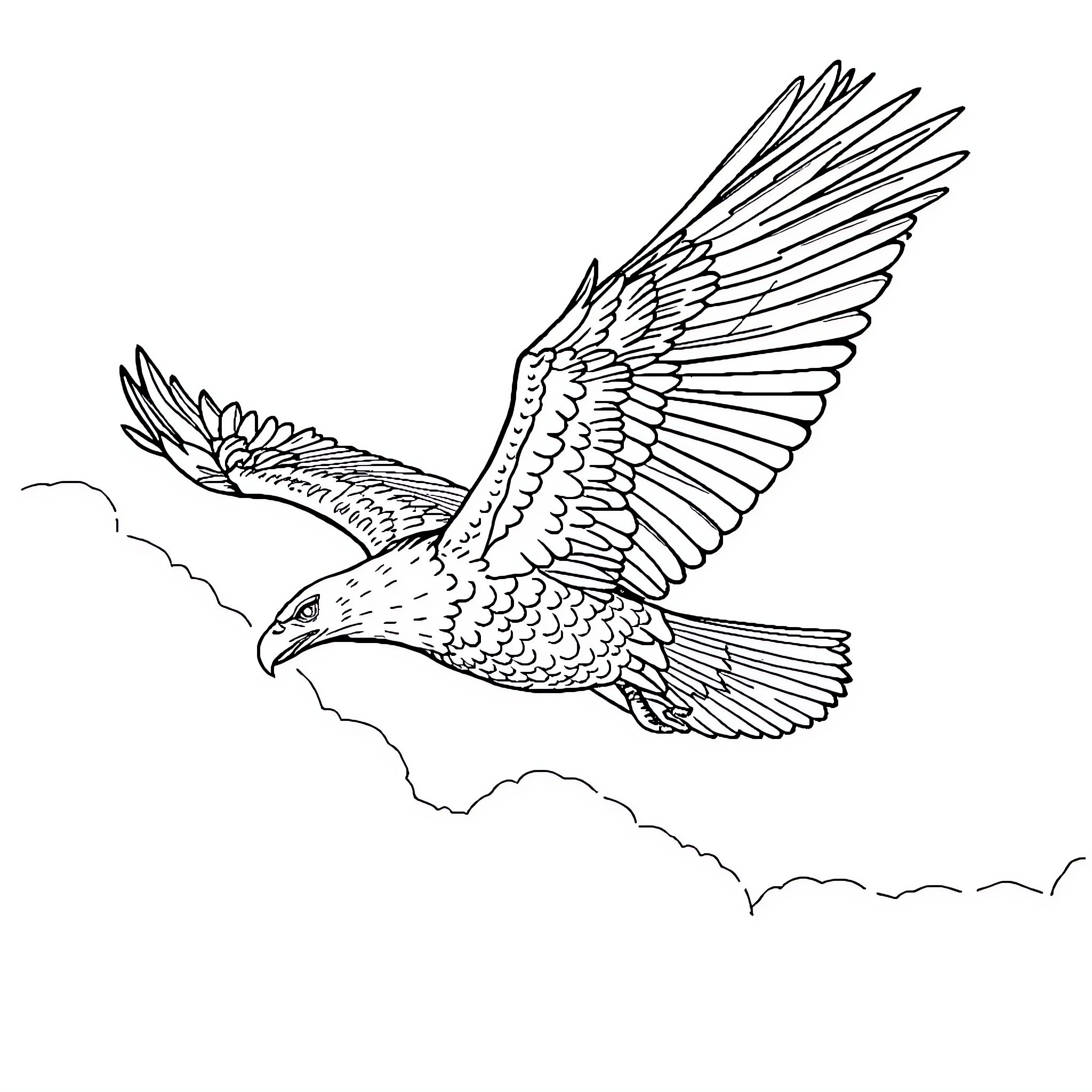 Eagle soaring majestically in the sky Coloring Page (free black-and-white line drawing printable PDF for all, from beginners to advanced learners, including children, teens, adults, and seniors)