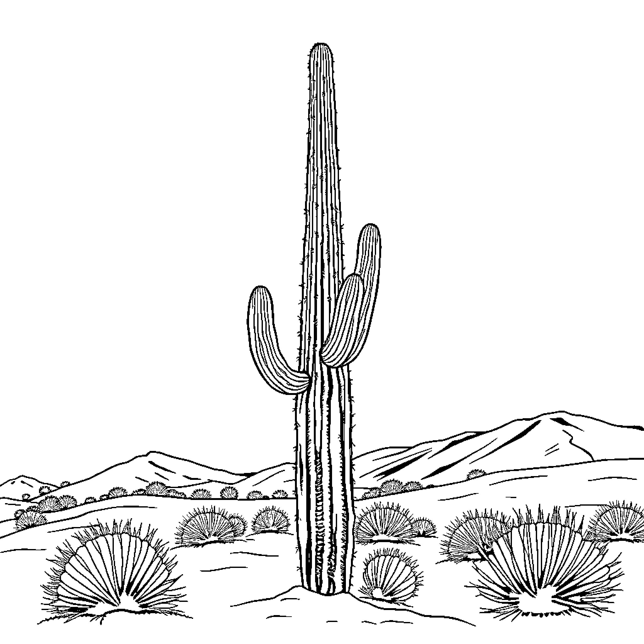 Saguaro cactus in desert landscape Coloring Page (free black-and-white line drawing printable PDF for all, from beginners to advanced learners, including children, teens, adults, and seniors)