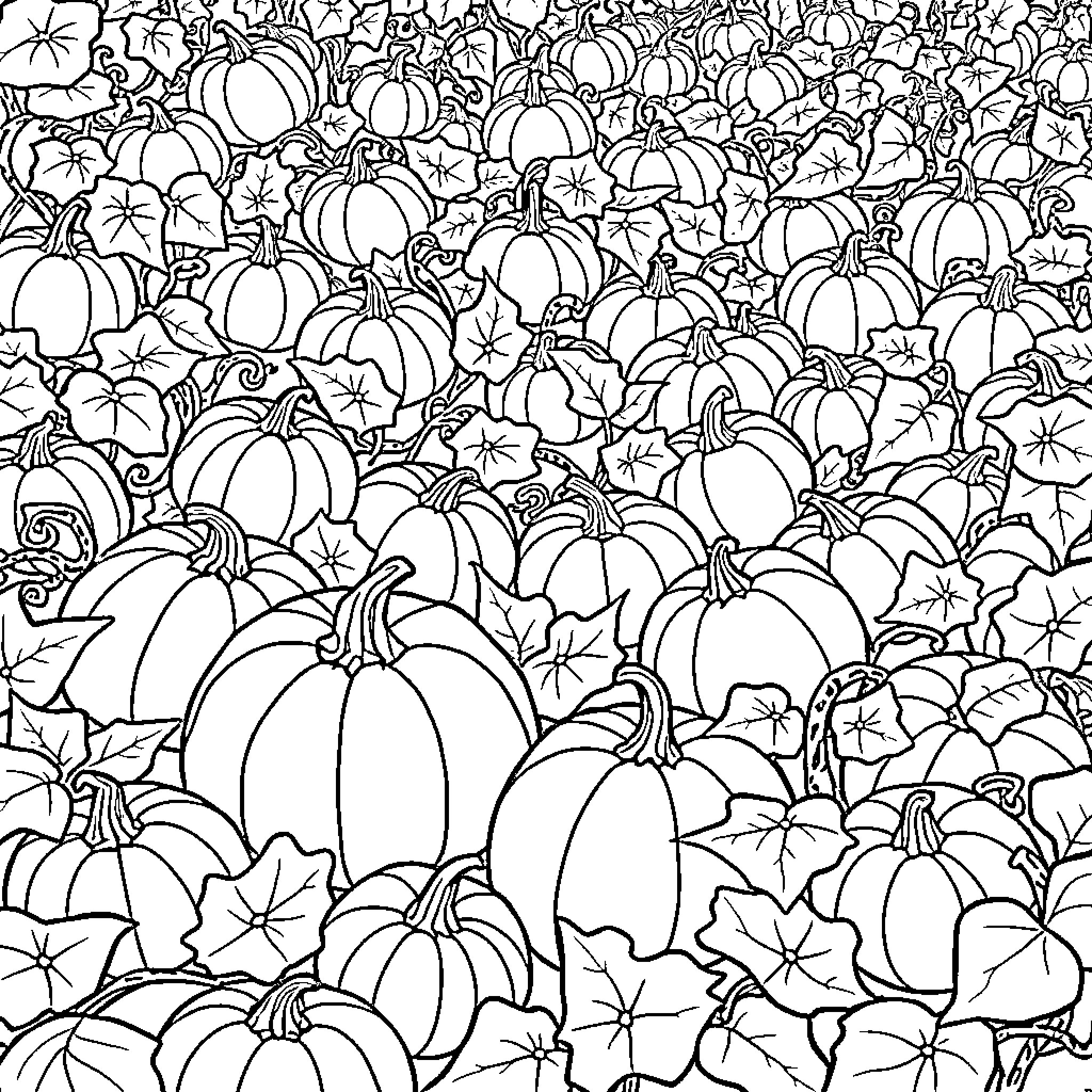 Pumpkins in a Festive Patch Coloring Page (free black-and-white line drawing printable PDF for all, from beginners to advanced learners, including children, teens, adults, and seniors)