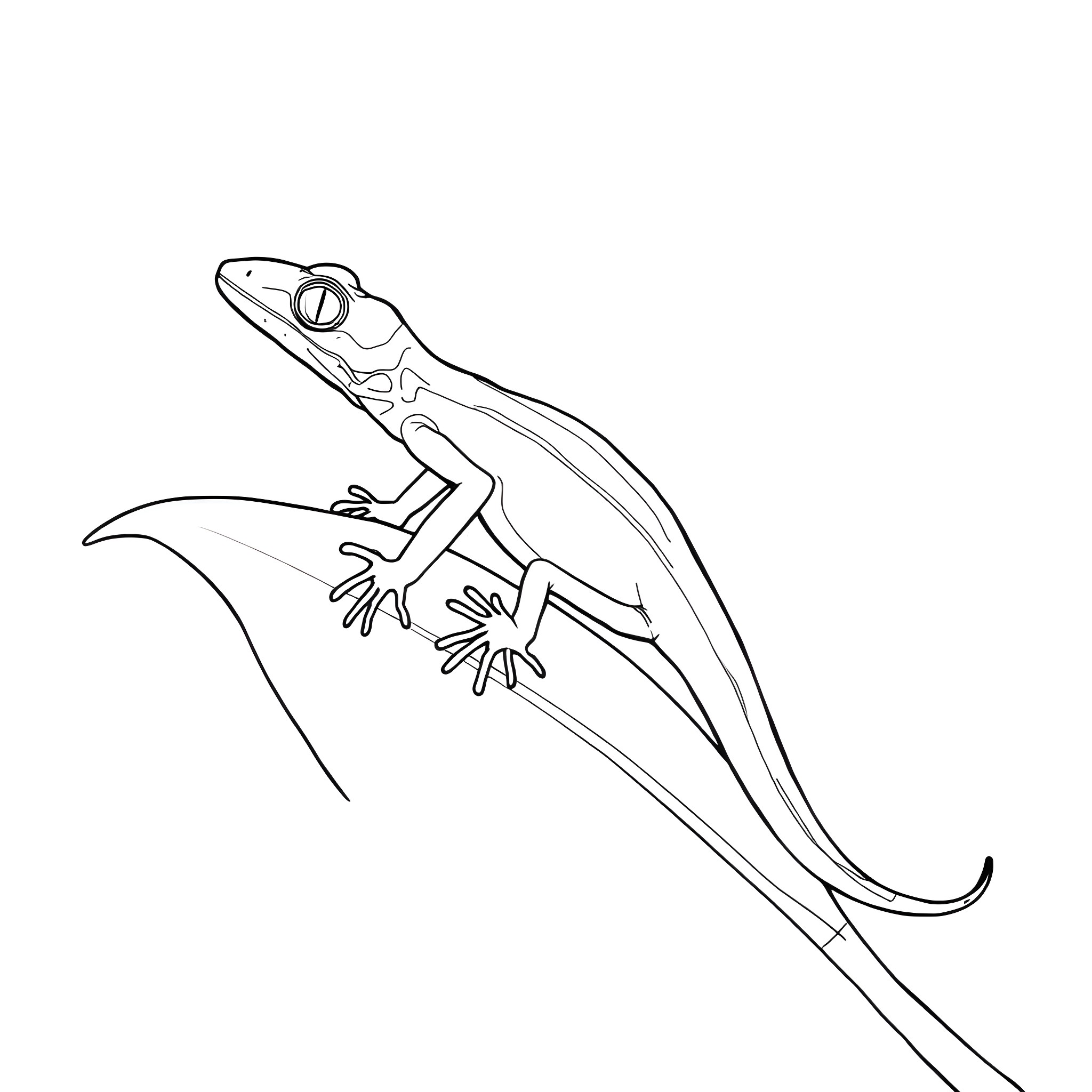 Skink climbing on leaf Coloring Page (free black-and-white line drawing printable PDF for all, from beginners to advanced learners, including children, teens, adults, and seniors)