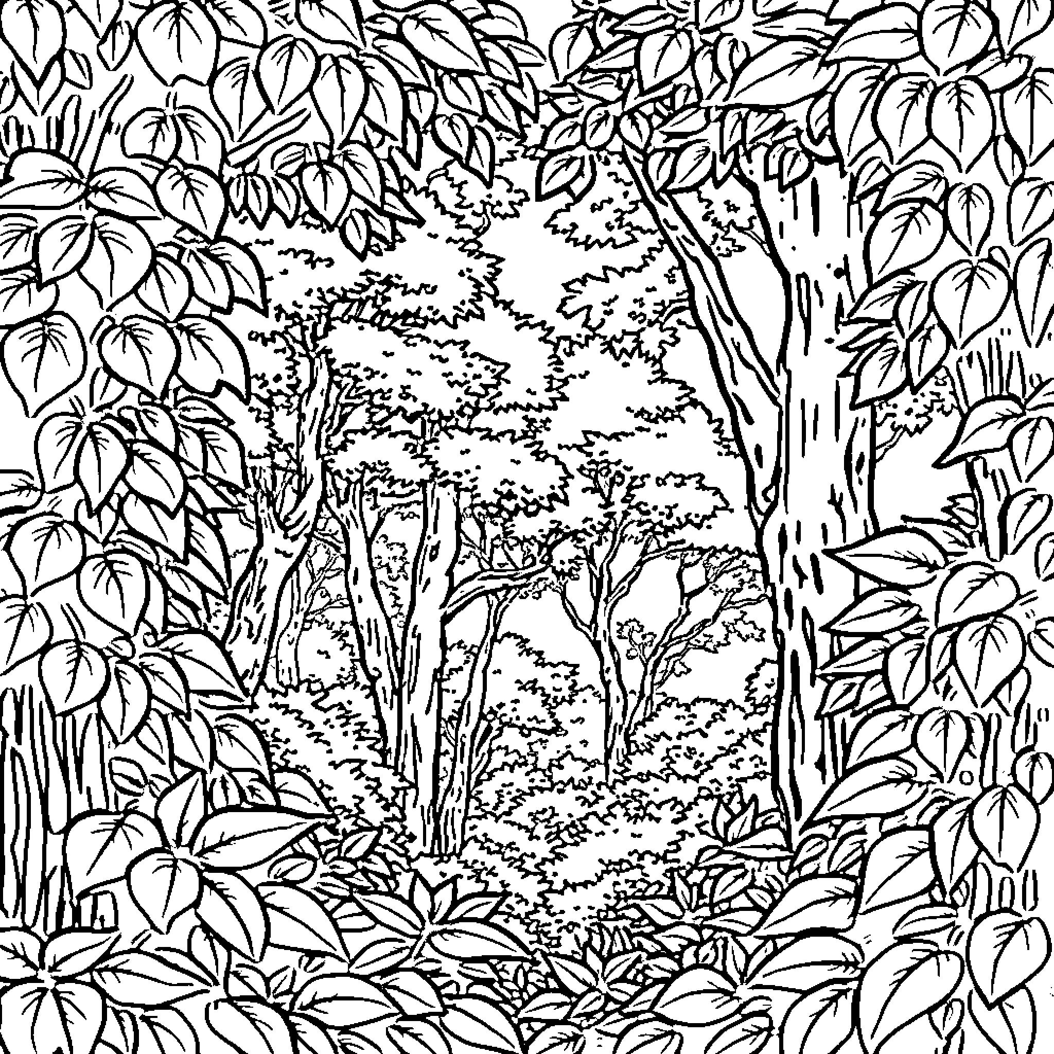 Rease Wals: Enchanting forest scene with lush foliage Coloring Page (free black-and-white line drawing printable PDF for all, from beginners to advanced learners, including children, teens, adults, and seniors)