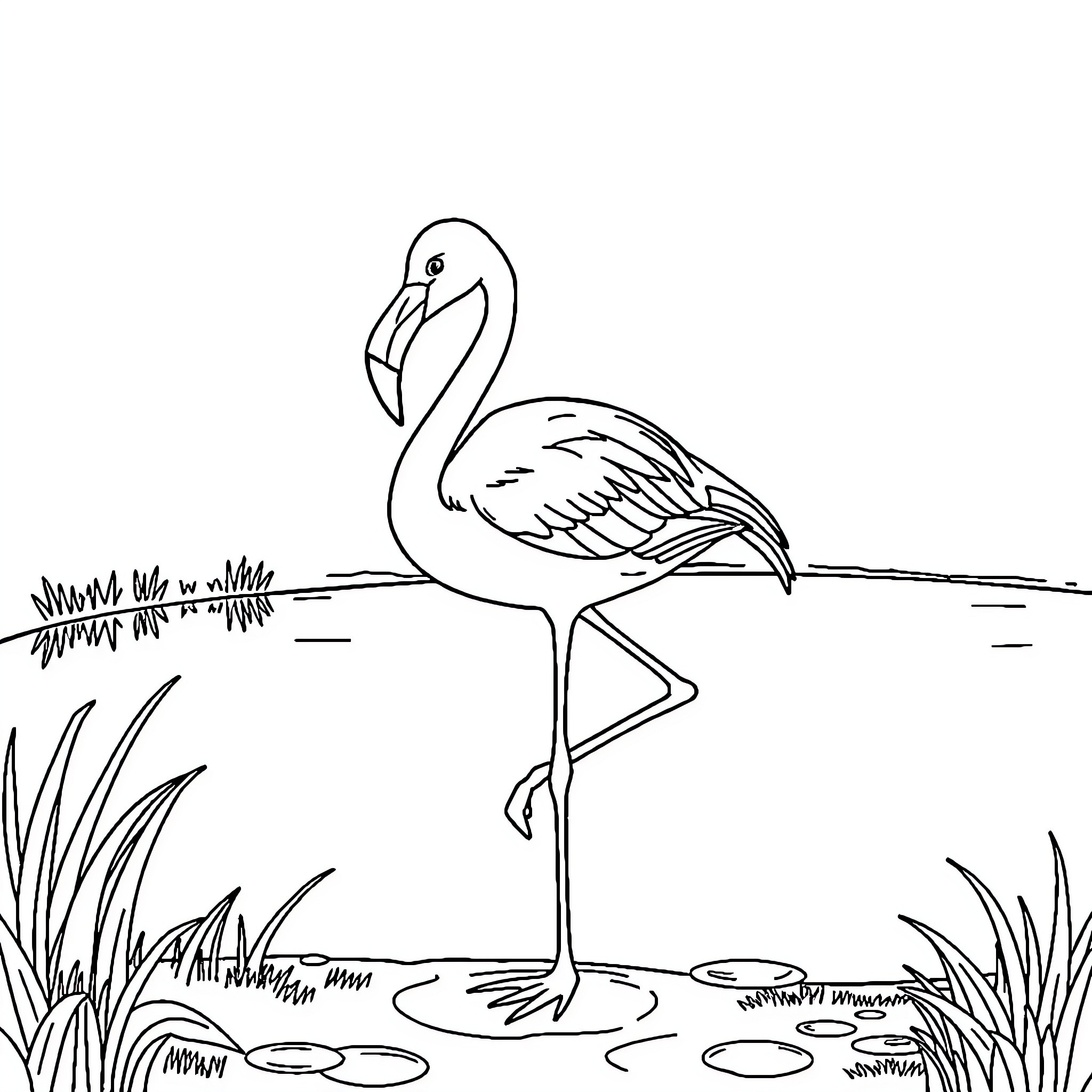 Flamingo standing in tranquil pond Coloring Page (free black-and-white line drawing printable PDF for all, from beginners to advanced learners, including children, teens, adults, and seniors)
