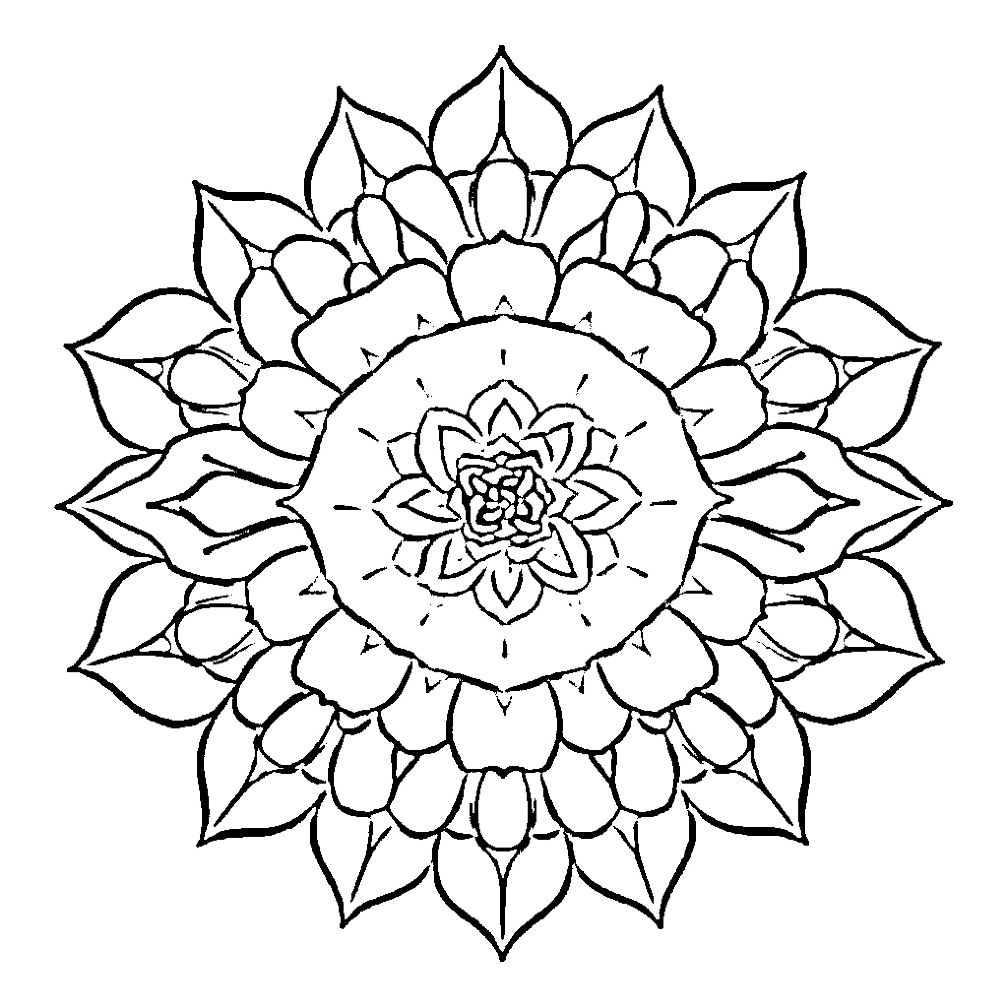 Rose Mandala Artwork Coloring Page (free black-and-white line drawing printable PDF for all, from beginners to advanced learners, including children, teens, adults, and seniors)