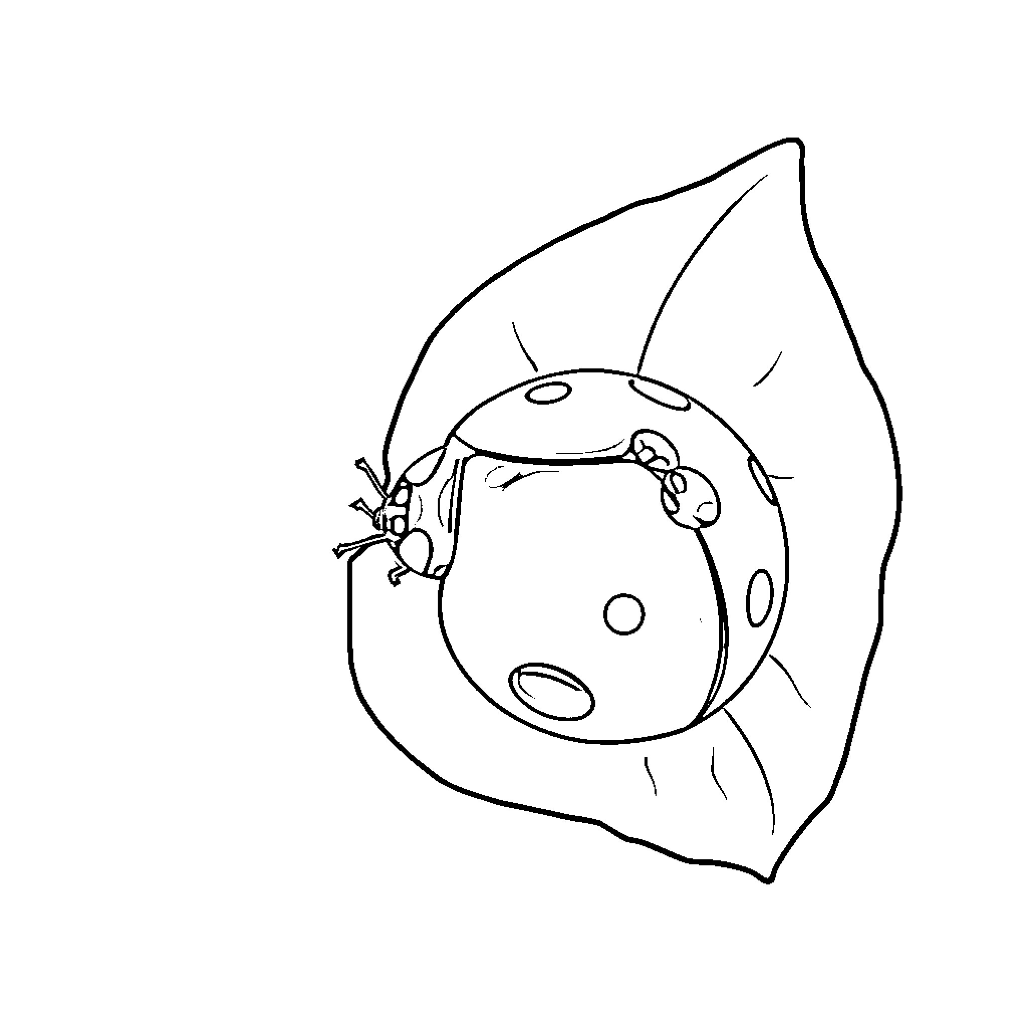 Coccinelle resting on a leaf Coloring Page (free black-and-white line drawing printable PDF for all, from beginners to advanced learners, including children, teens, adults, and seniors)
