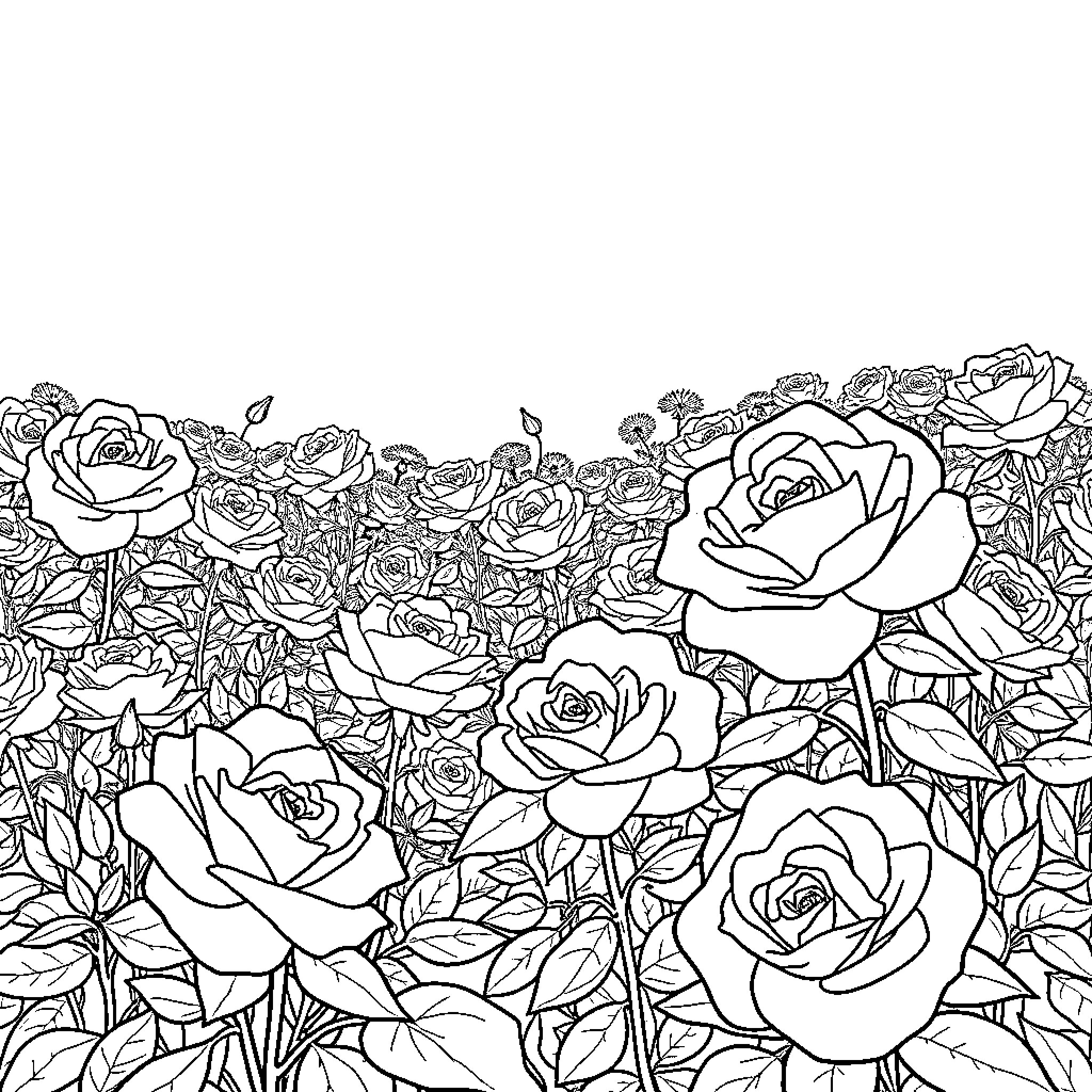 Rose Garden Blooms in Elegant Harmony Coloring Page (free black-and-white line drawing printable PDF for all, from beginners to advanced learners, including children, teens, adults, and seniors)