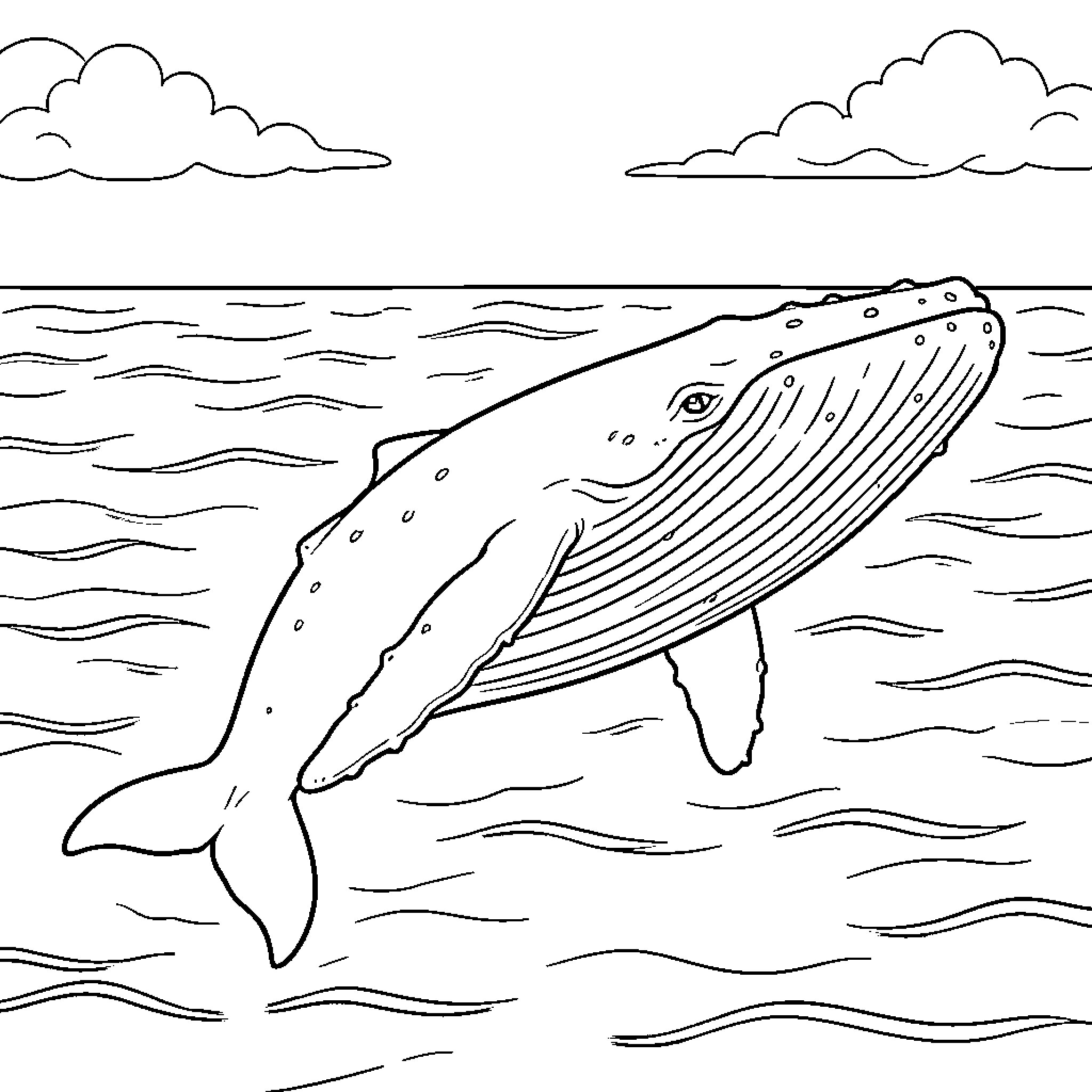 Baleia nadando no mar Coloring Page (free black-and-white line drawing printable PDF for all, from beginners to advanced learners, including children, teens, adults, and seniors)