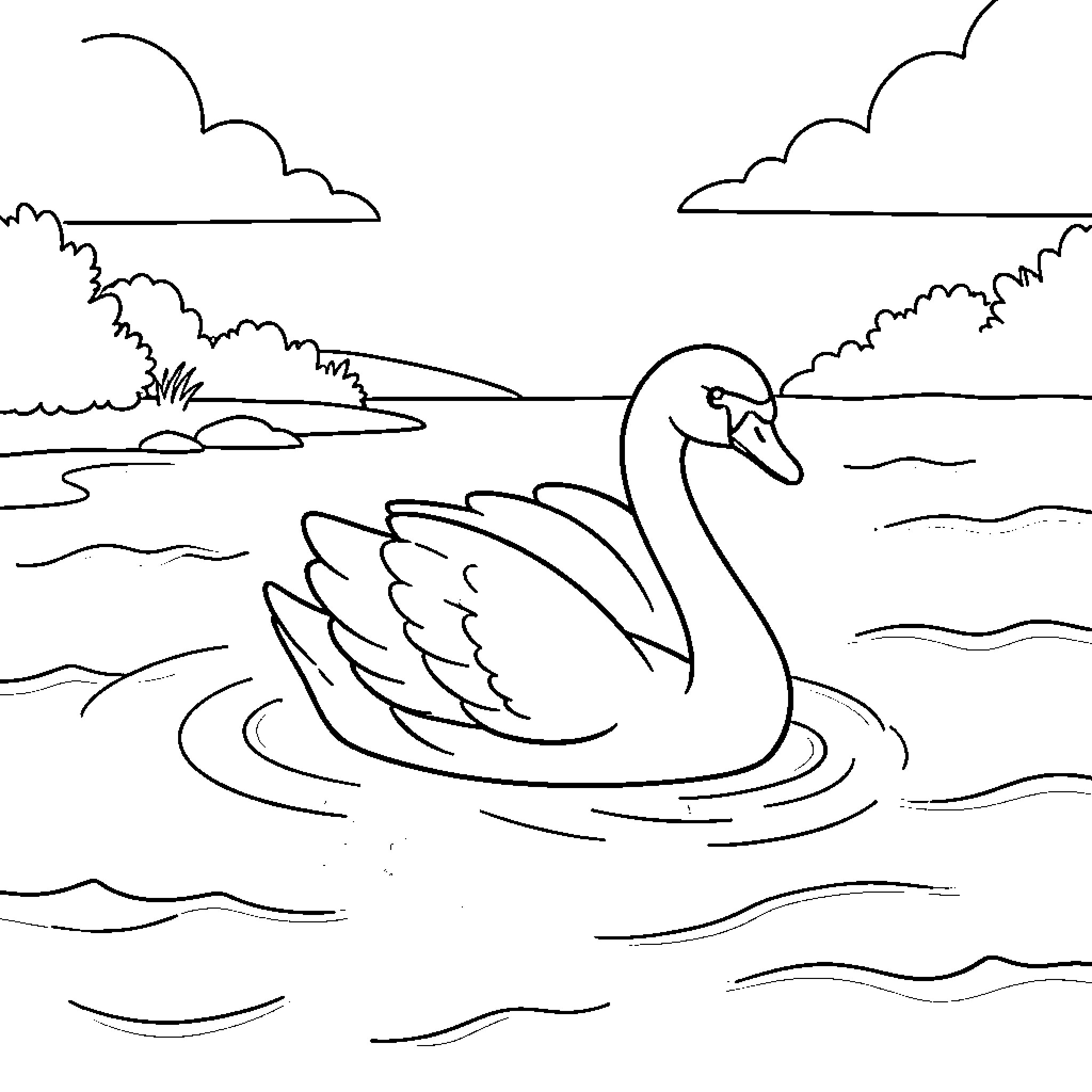 Swan floating gracefully on the water Coloring Page (free black-and-white line drawing printable PDF for all, from beginners to advanced learners, including children, teens, adults, and seniors)