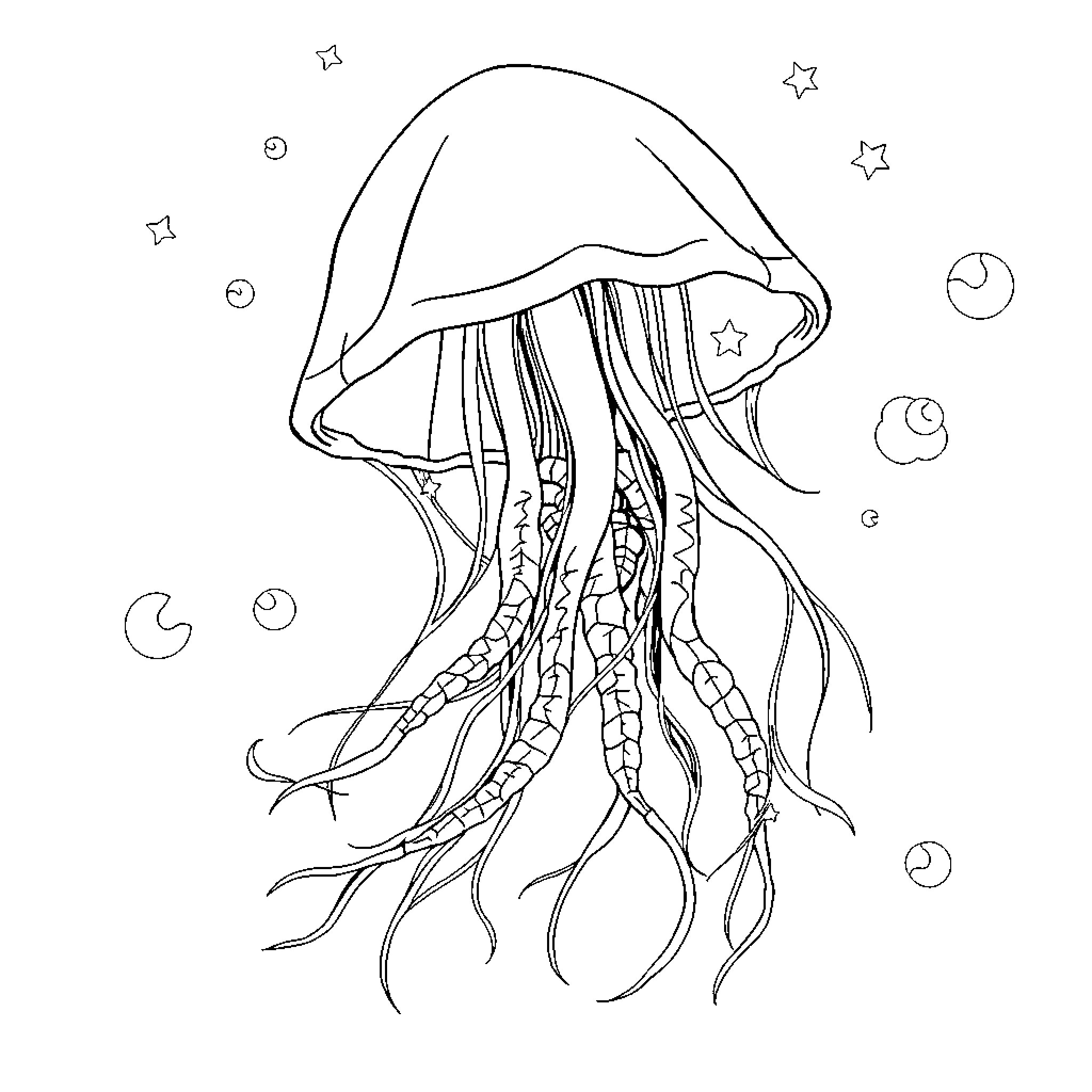 Jellyfish floating gracefully in the starry night Coloring Page (free black-and-white line drawing printable PDF for all, from beginners to advanced learners, including children, teens, adults, and seniors)