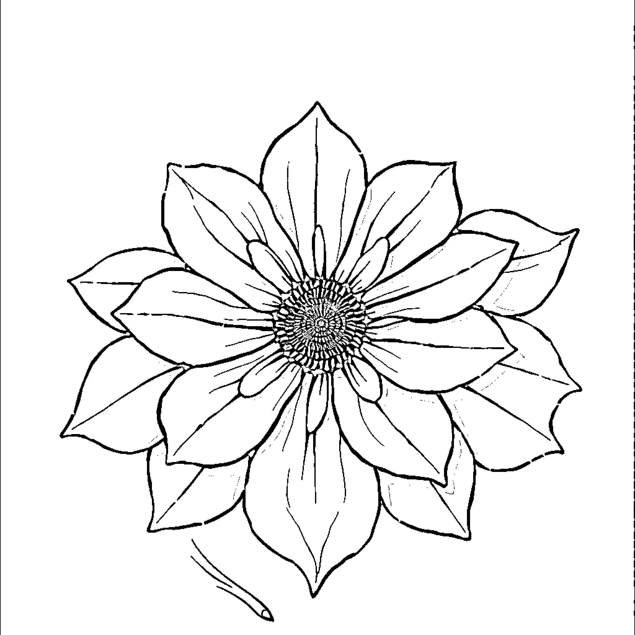 Donation of Flower Illustration Coloring Page (free black-and-white line drawing printable PDF for all, from beginners to advanced learners, including children, teens, adults, and seniors)