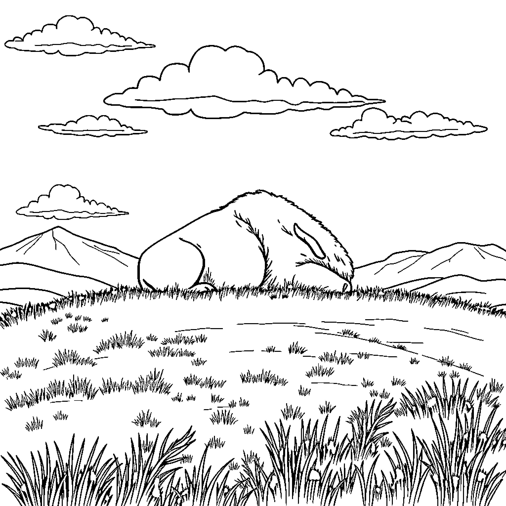 Buffalo roaming on a grassy landscape with mountains Coloring Page (free black-and-white line drawing printable PDF for all, from beginners to advanced learners, including children, teens, adults, and seniors)