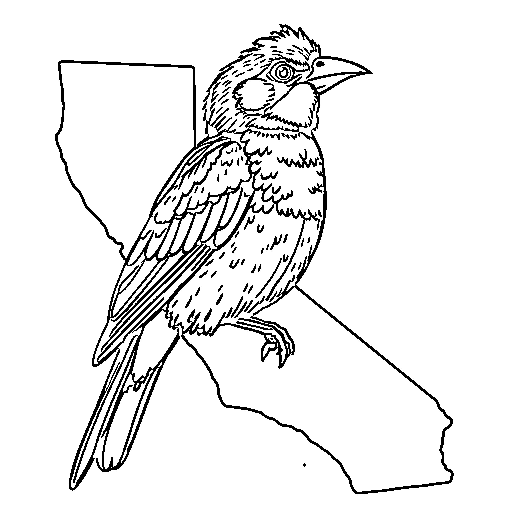 Bird perching on California map outline Coloring Page (free black-and-white line drawing printable PDF for all, from beginners to advanced learners, including children, teens, adults, and seniors)