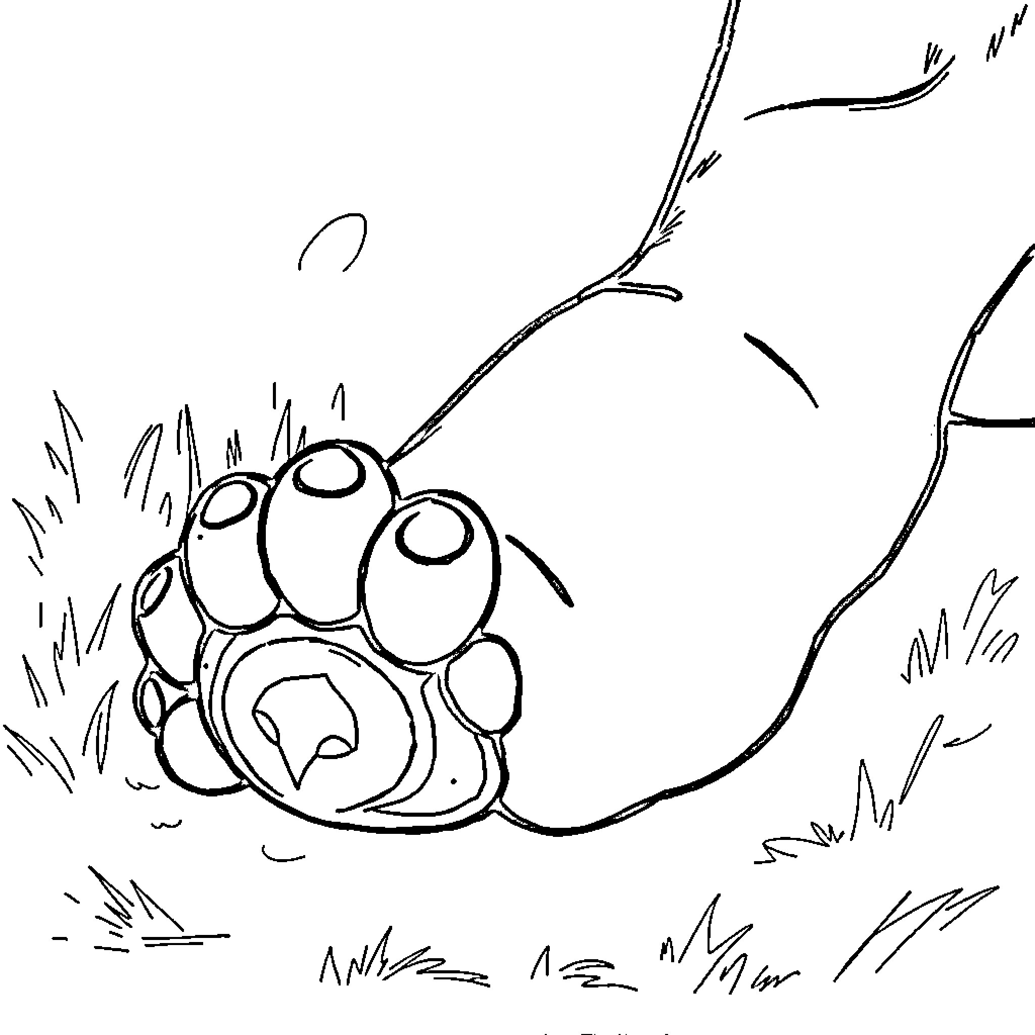 Pokémon creature's paw in grass Coloring Page (free black-and-white line drawing printable PDF for all, from beginners to advanced learners, including children, teens, adults, and seniors)